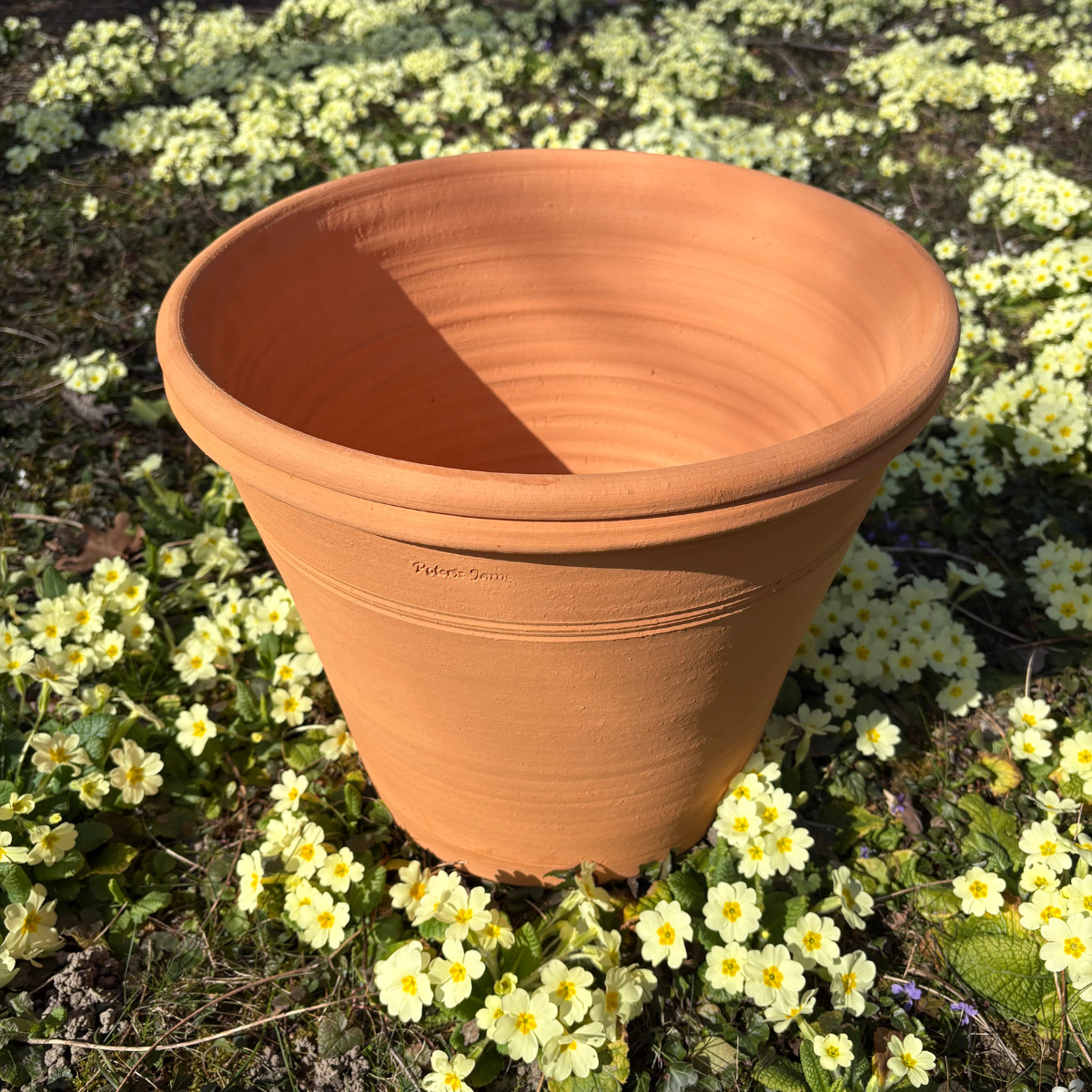 Pot d'ornementation Agrume