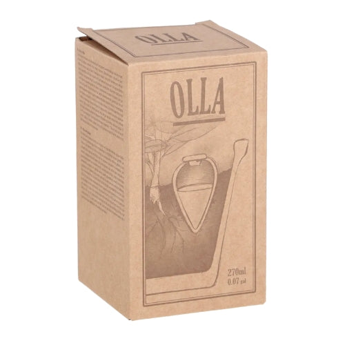 Olla pour arroser ses plantes d'intérieur