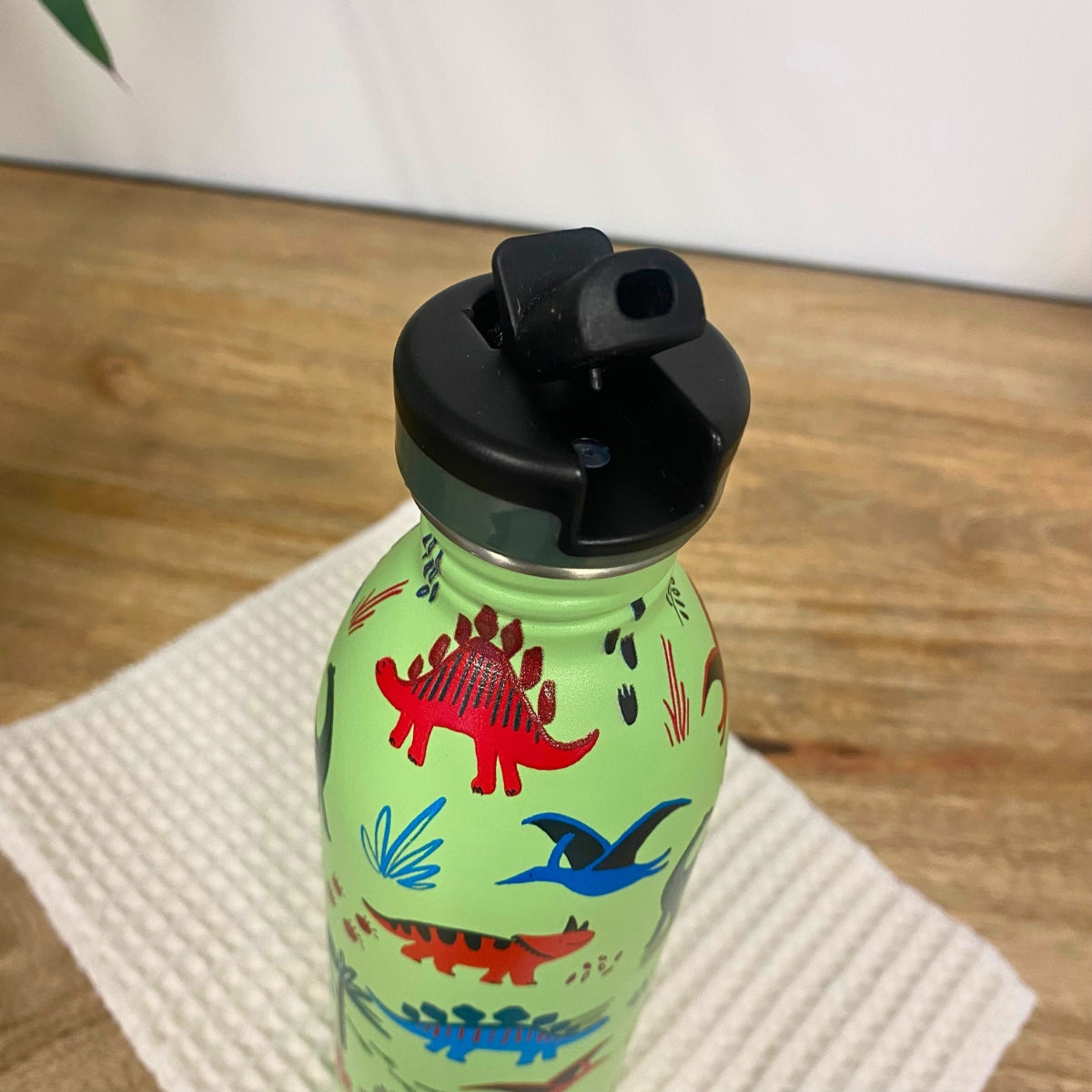 Gourde URBAN 500 ml - Jurassic friends | 24 Bottles