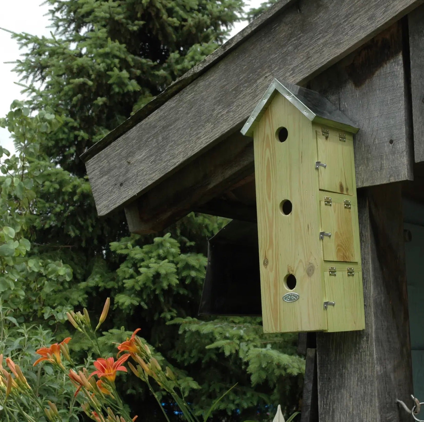 Appartement pour moineaux - vertical