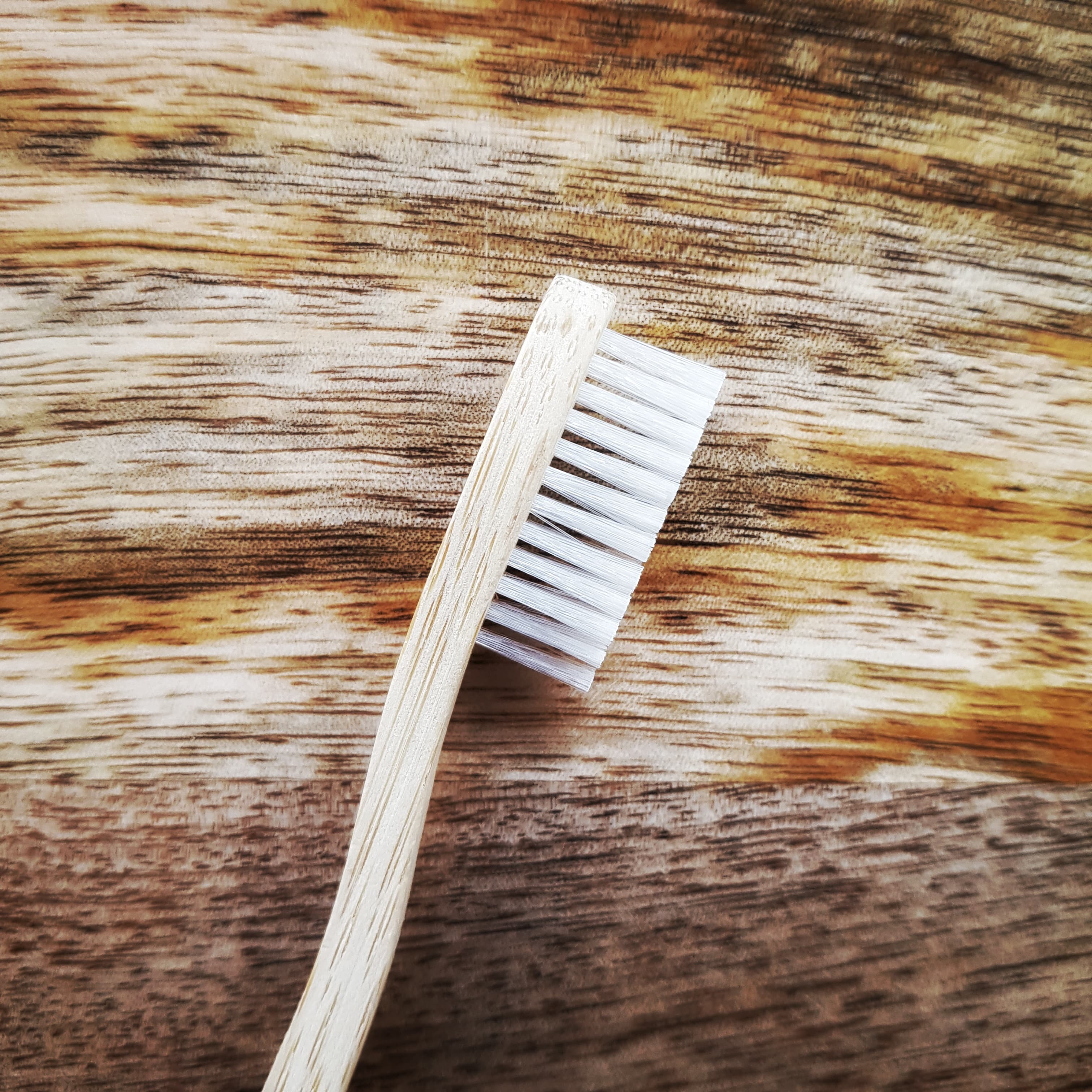 Brosse à dents en bambou compostable