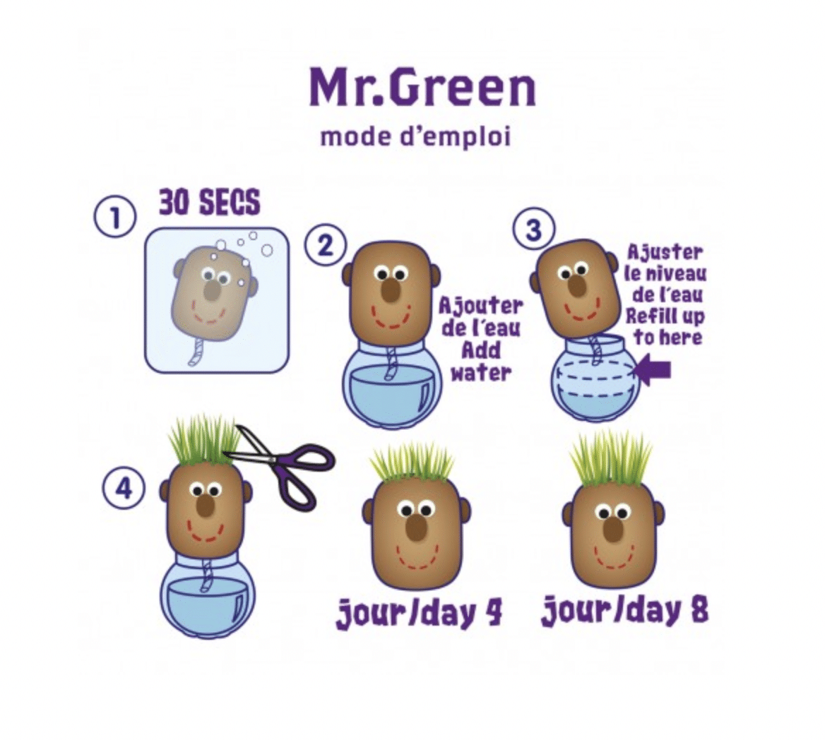Monsieur GREEN à faire pousser