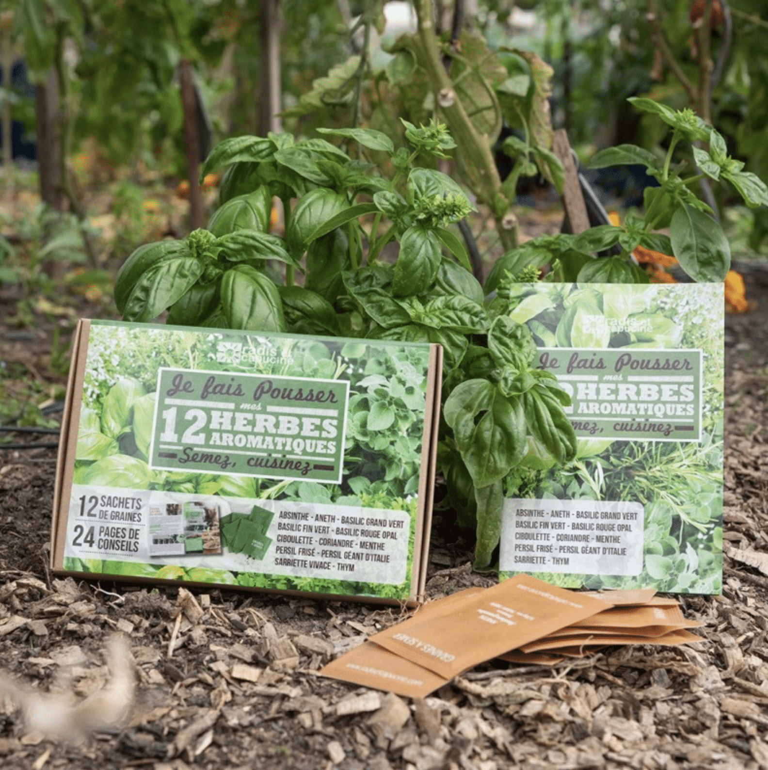 Coffret : Je fais pousser mes 12 herbes aromatiques