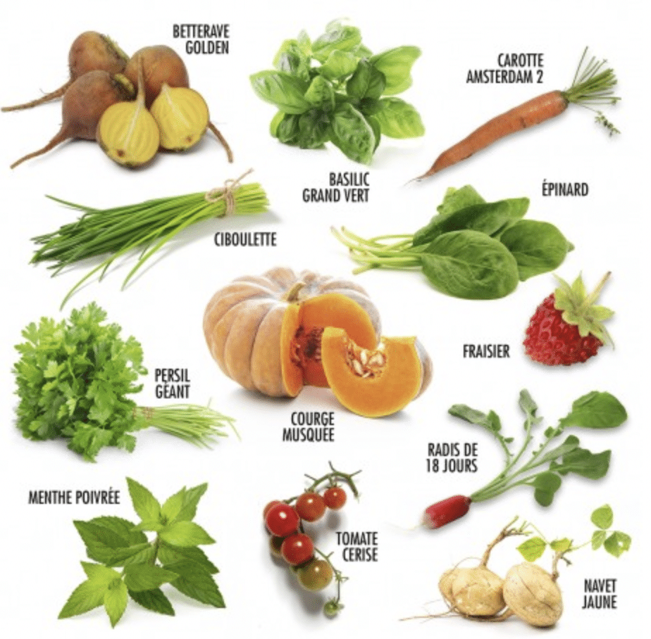 Coffret : Jardiner en permaculture