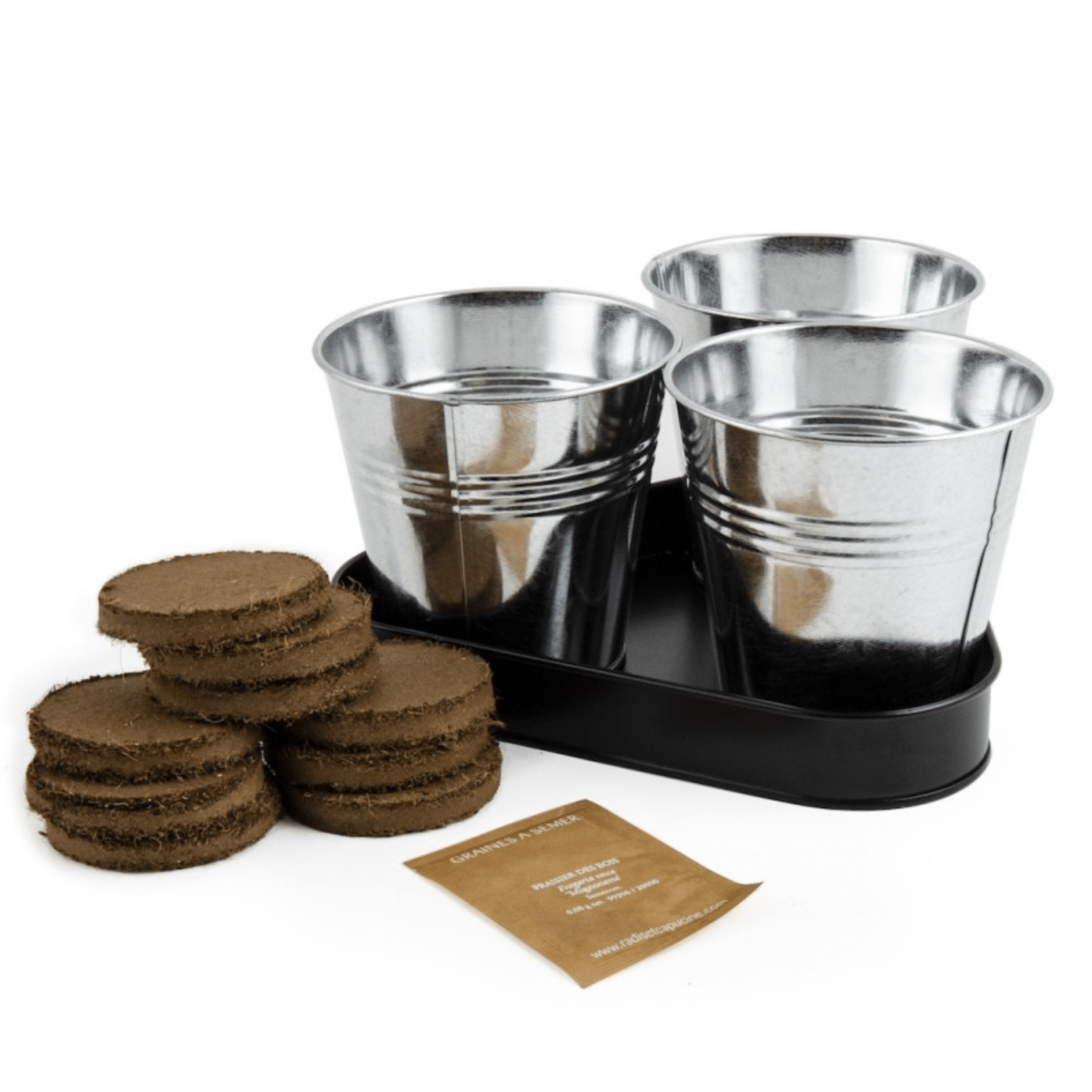 Coffret : Trio de fraisiers à faire pousser
