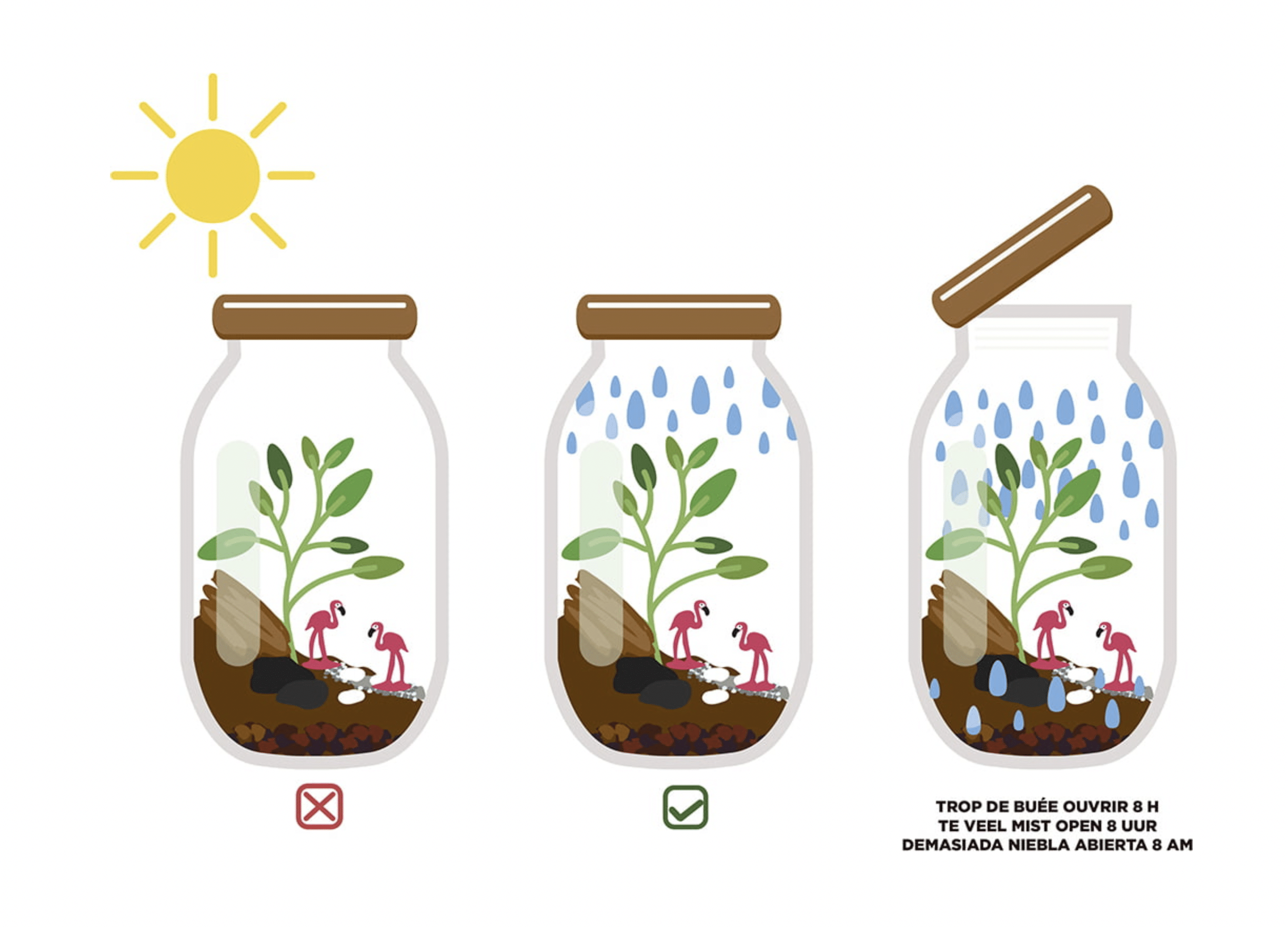 Terrarium à faire soi-même