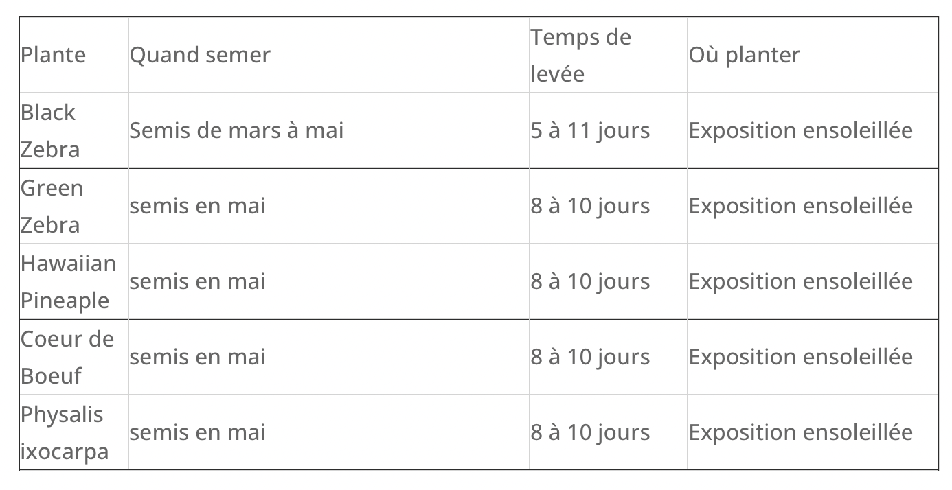 Coffret : Je fais pousser mes tomates arc-en-ciel BIO