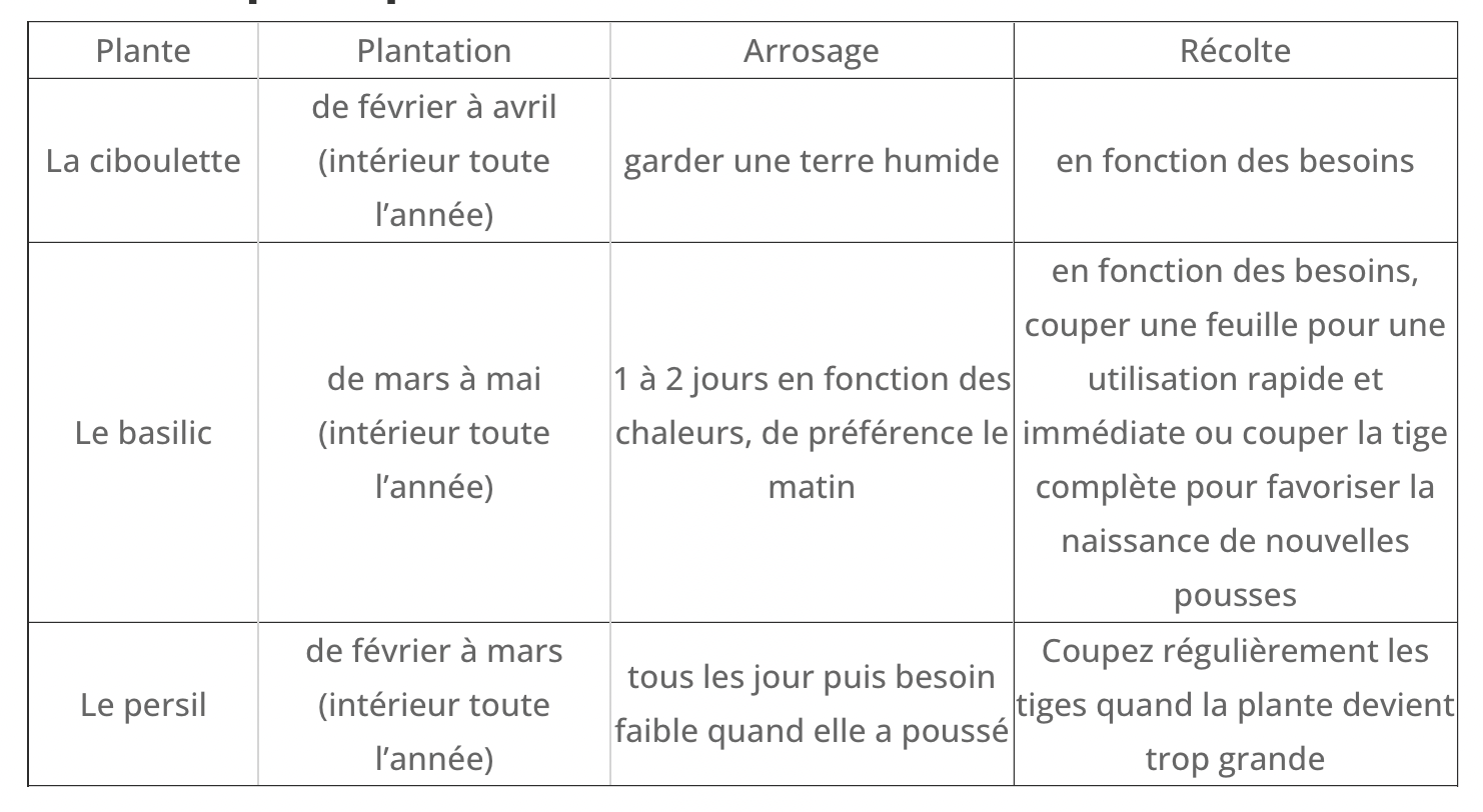 Kit d’herbes aromatiques BIO – (Ciboulette, Basilic, Persil)