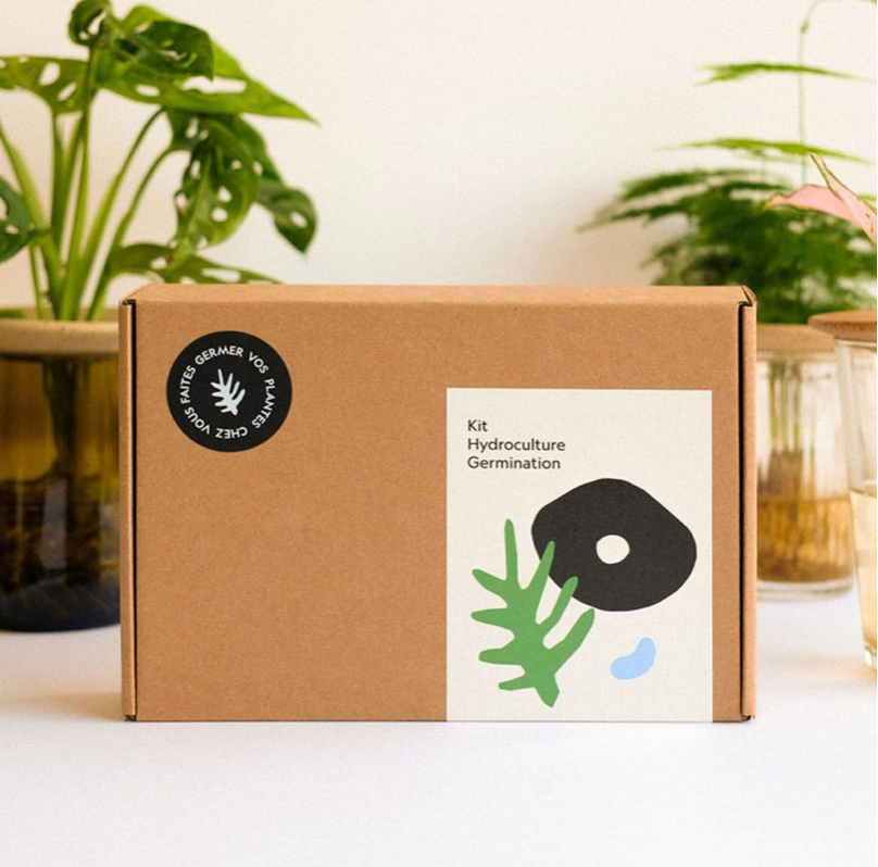 Coffret de germination - Pepin