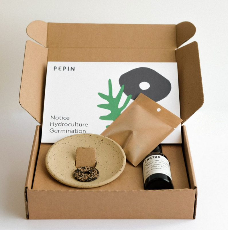 Coffret de germination - Pepin