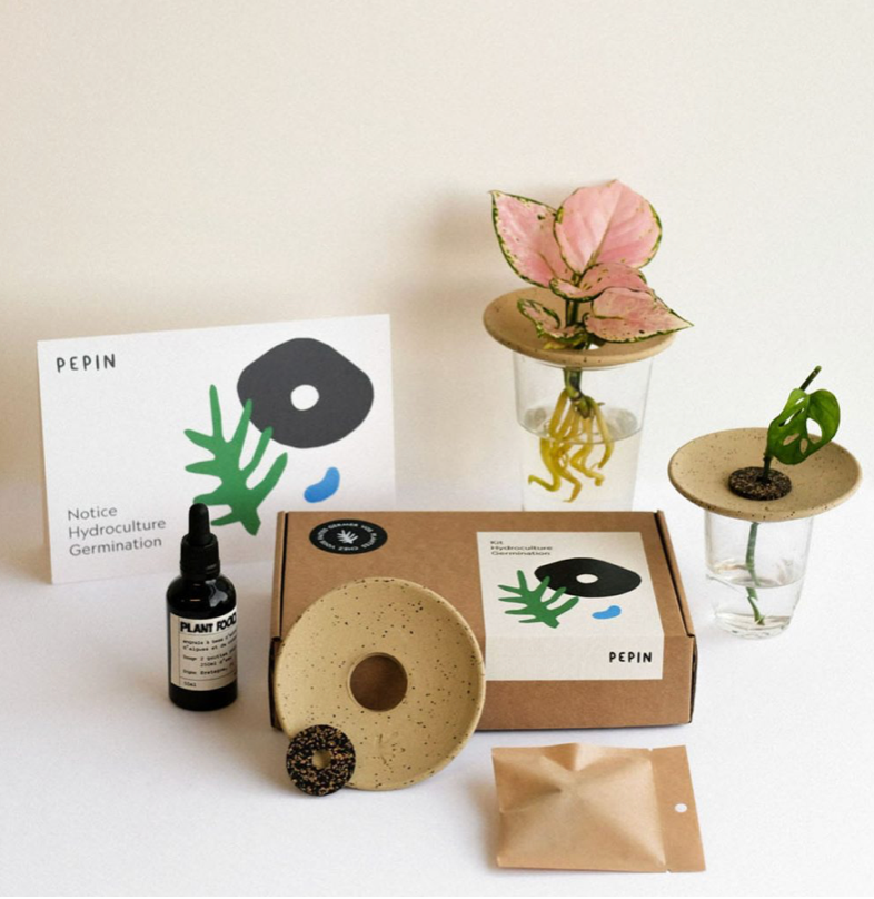 Coffret de germination - Pepin