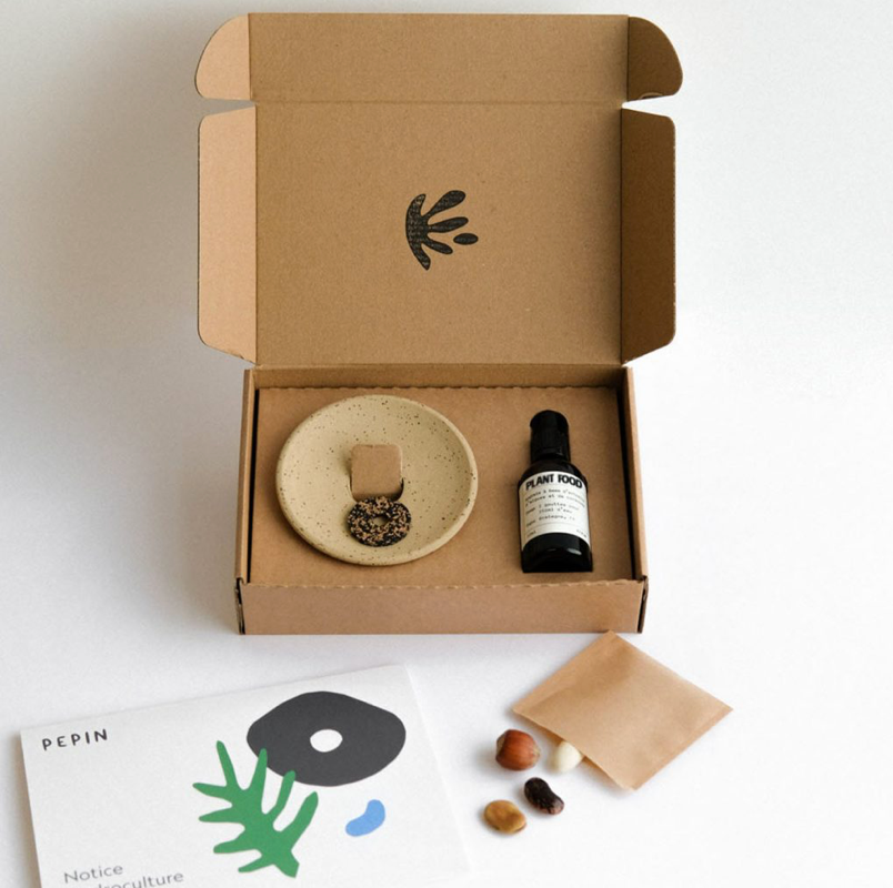 Coffret de germination - Pepin
