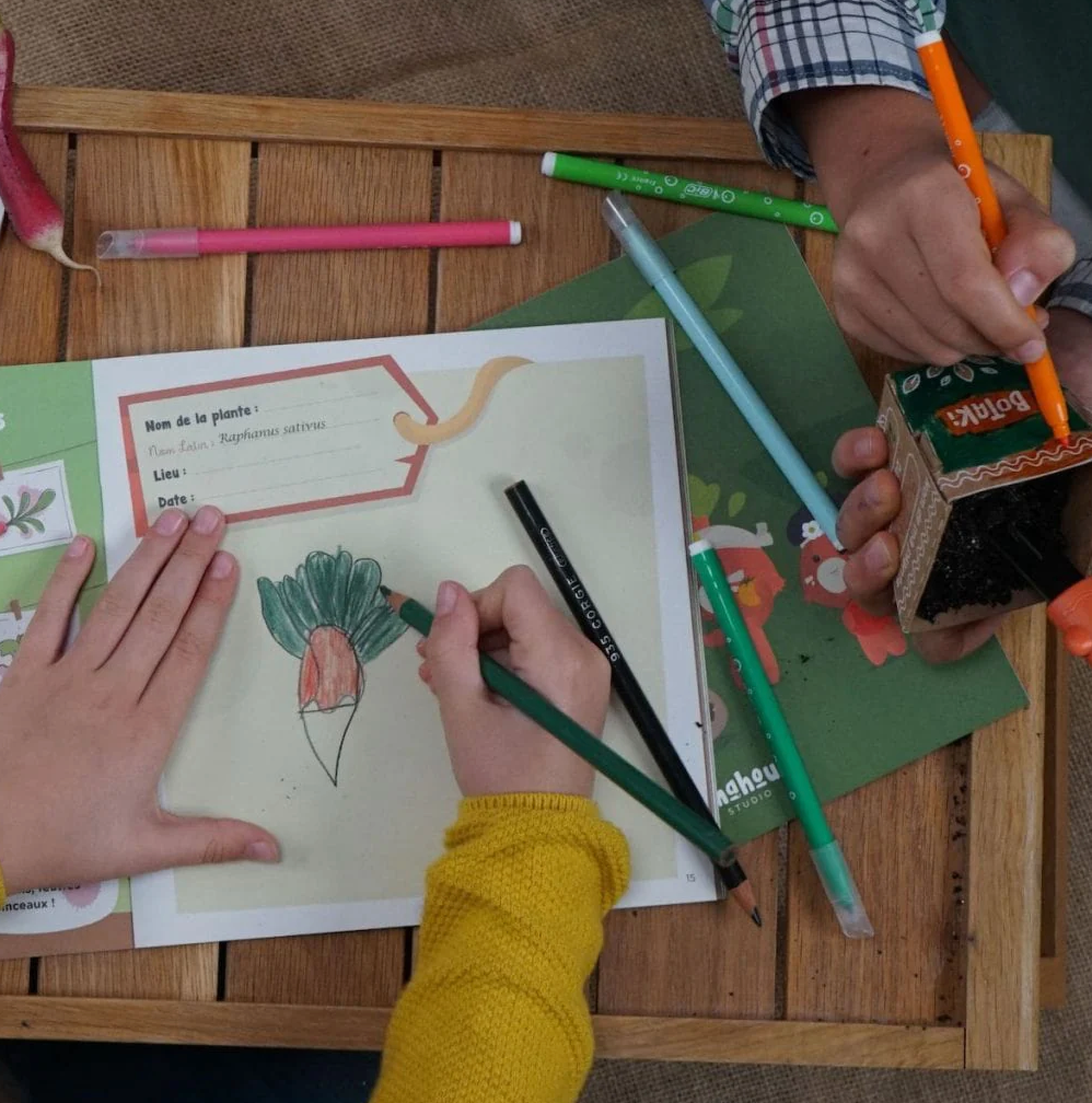 Créer mon potager maison : Le Kit semis radis