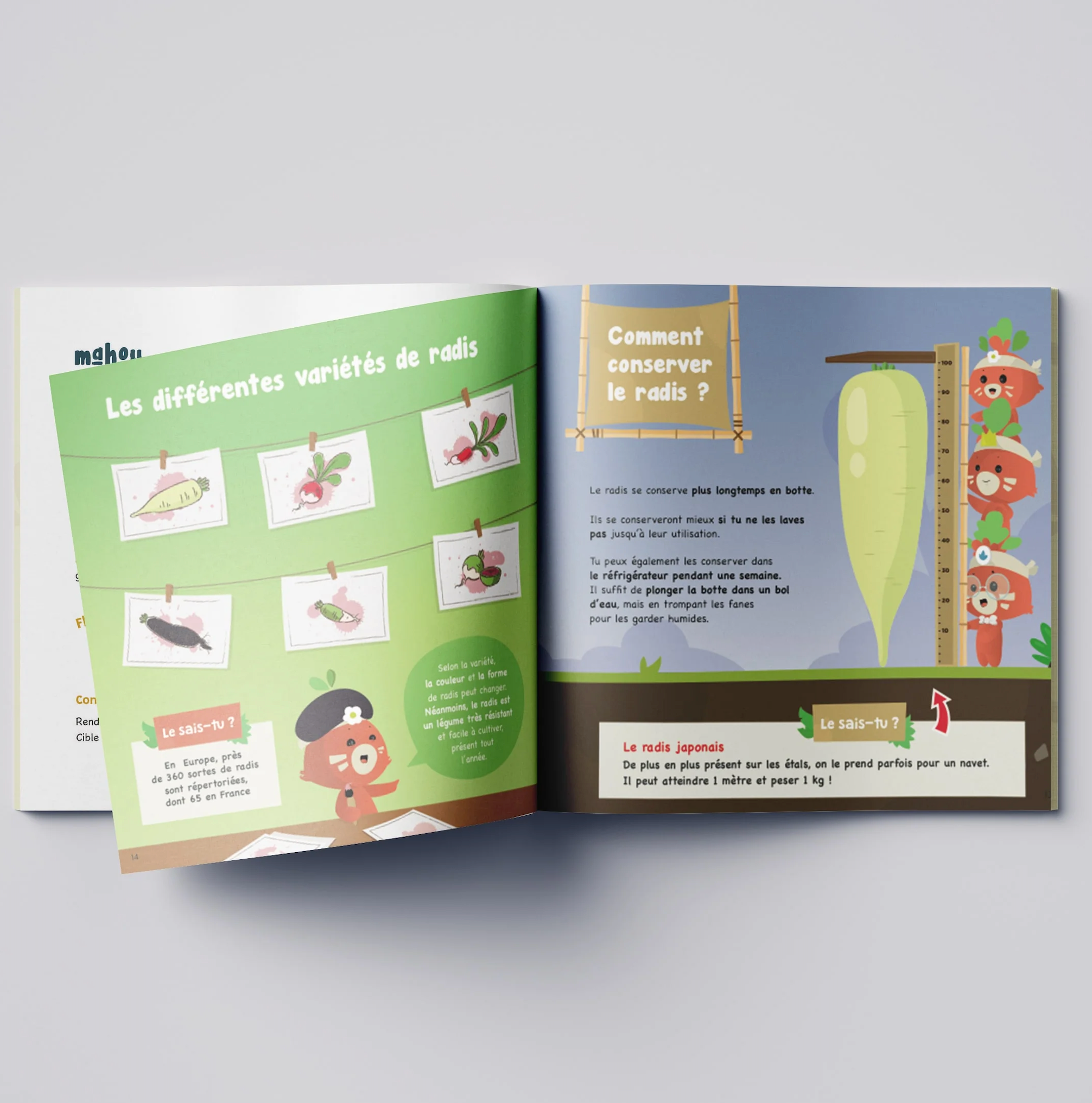 Créer mon potager maison : Le Kit semis radis