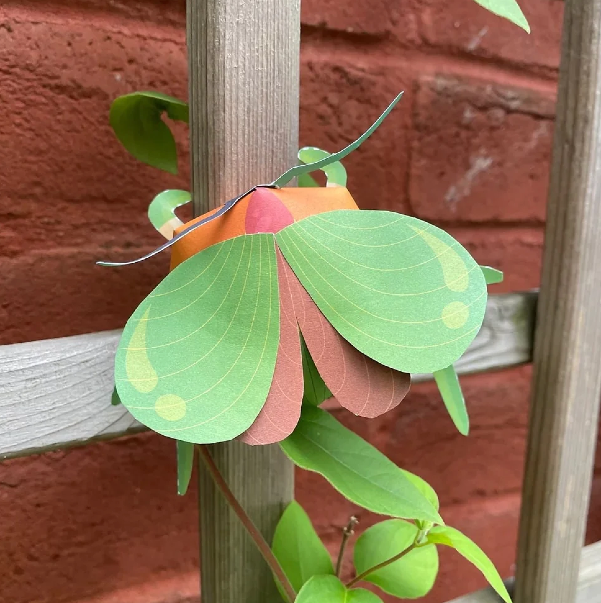 Mon kit insectes : Je fabrique un hôtel à insectes en bois