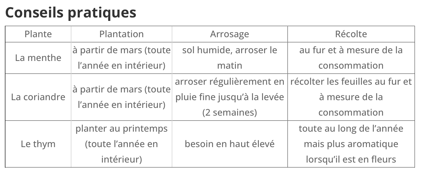 Kit d’herbes aromatiques BIO – (Menthe, Coriandre, Thym)
