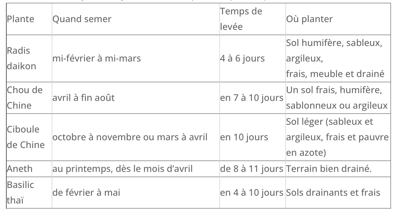 Coffret : Je fais pousser mon menu asiatique BIO