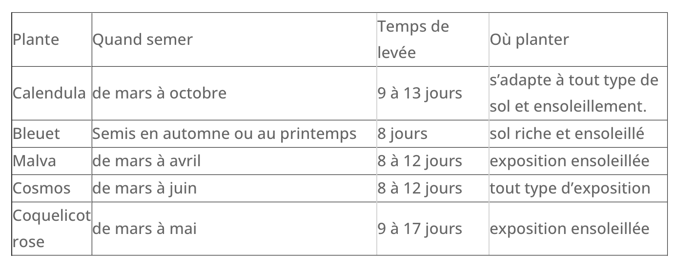 Coffret : Je fais pousser mes fleurs comestibles BIO