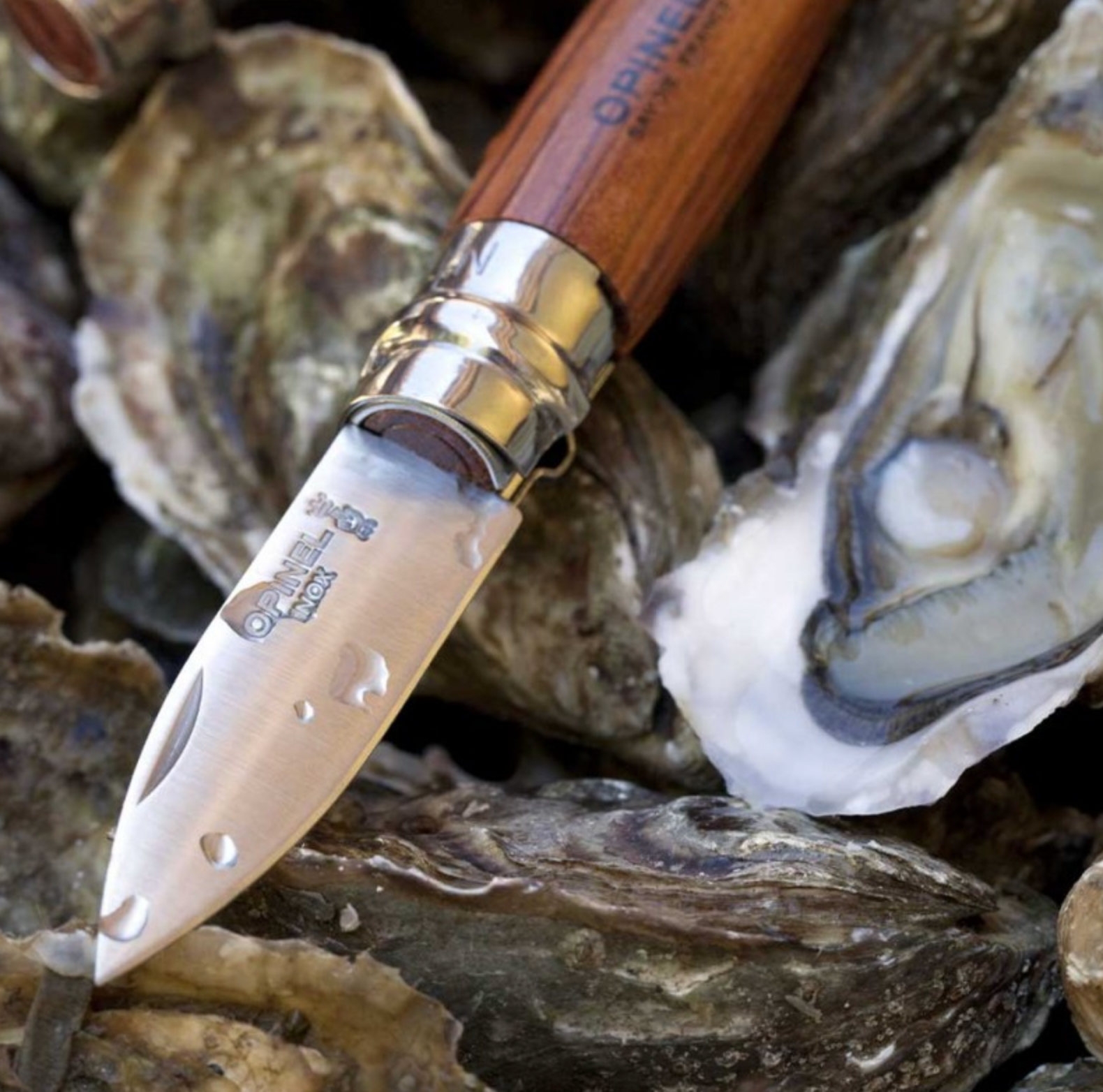 Couteau n°09- Huitres et coquillages OPINEL