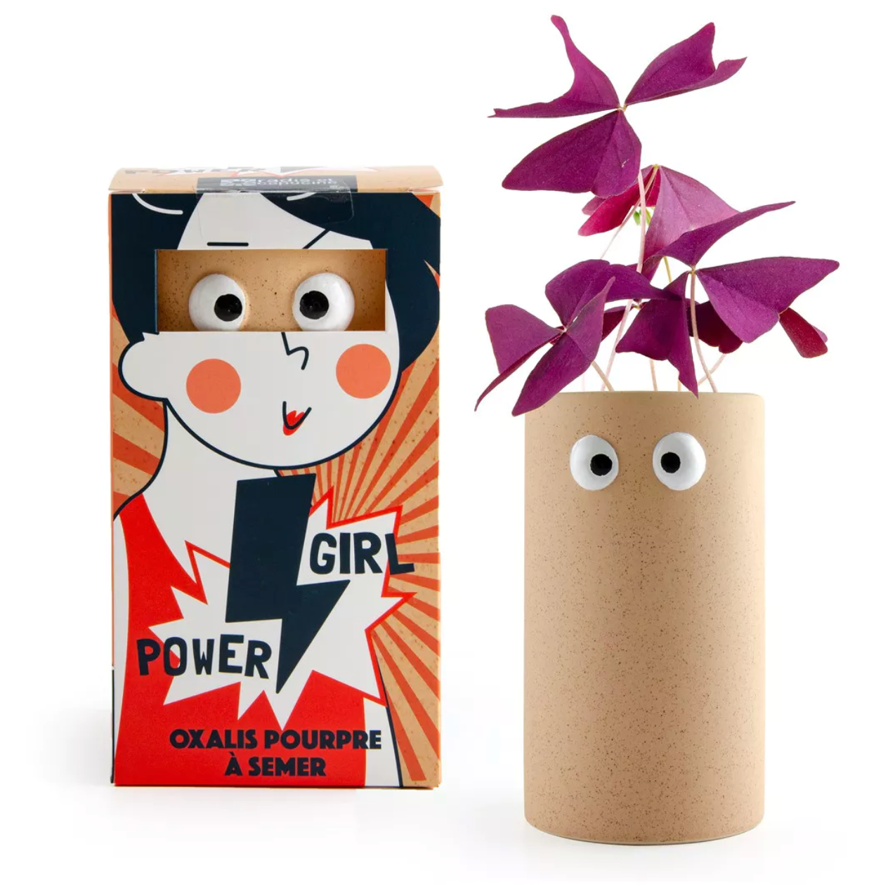 Girl power - Oxalis pourpre à faire pousser
