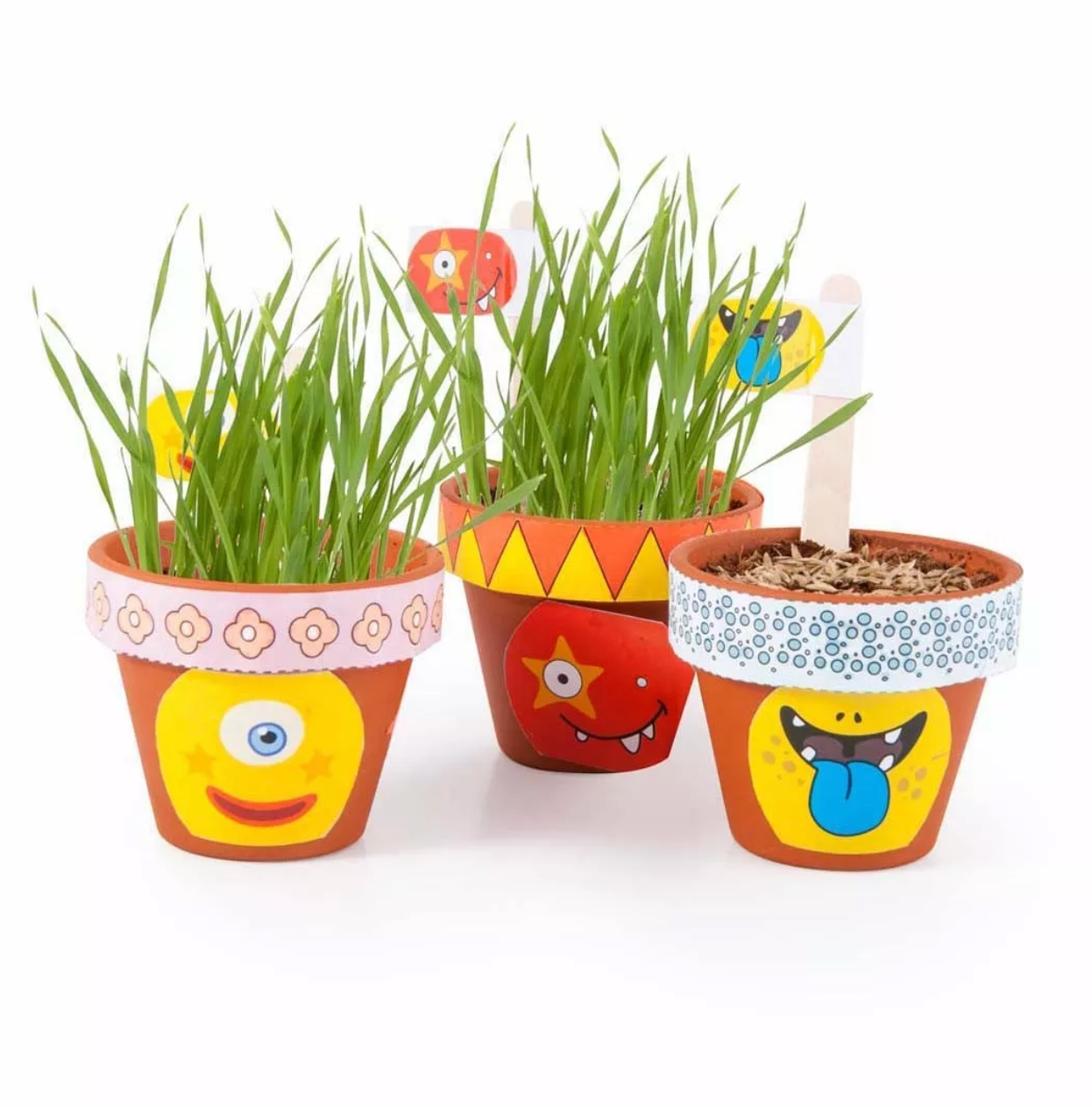 Coffret anniversaire - 10 petits pots monstres