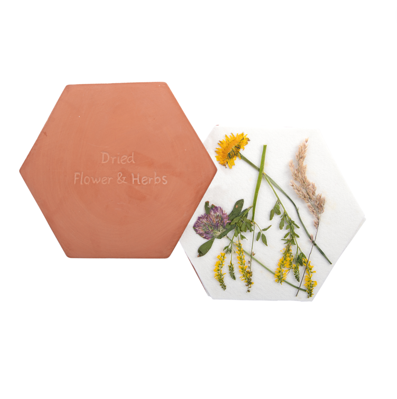 Presse à fleurs et herbes micro-ondes