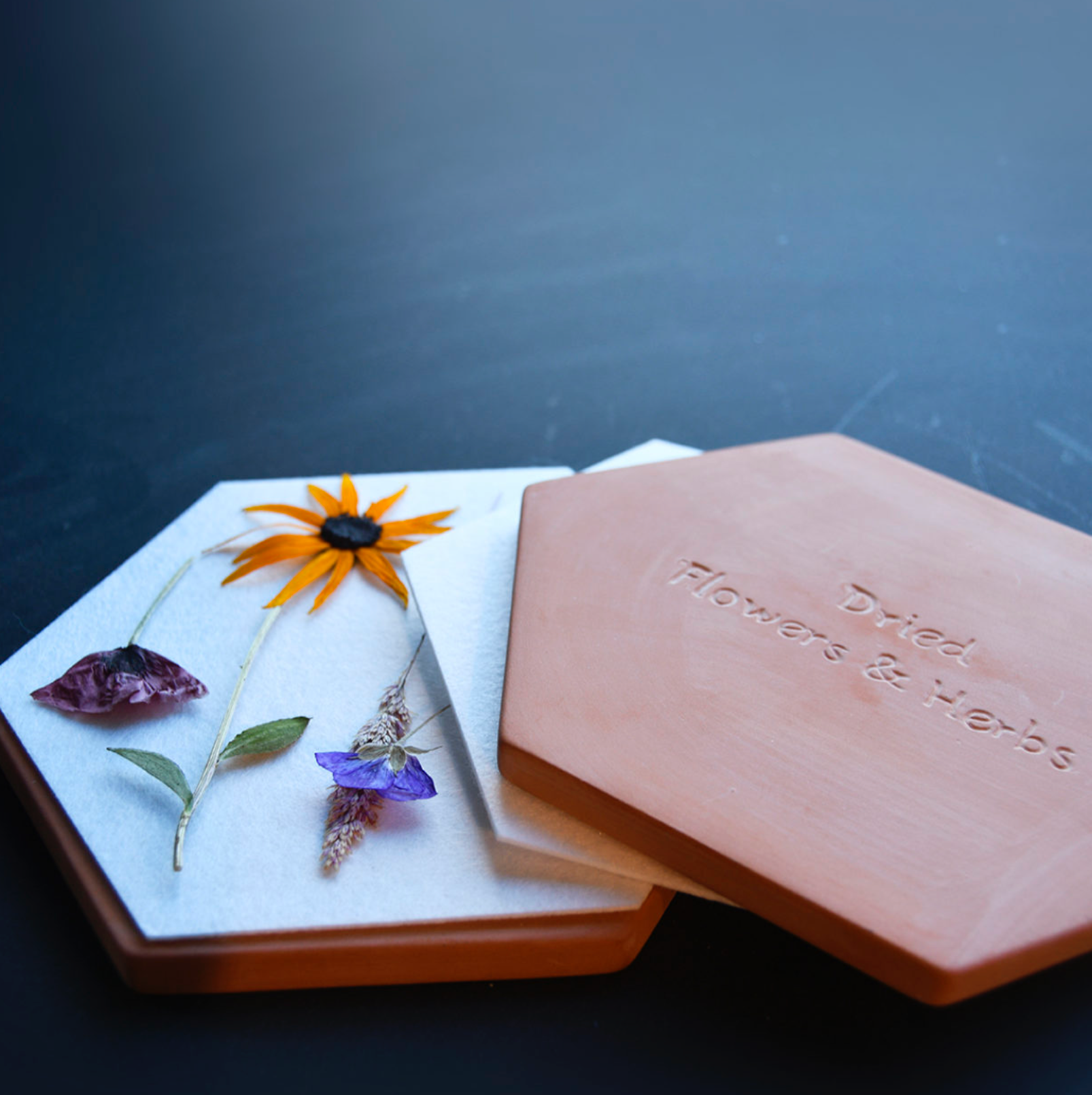 Presse à fleurs et herbes micro-ondes