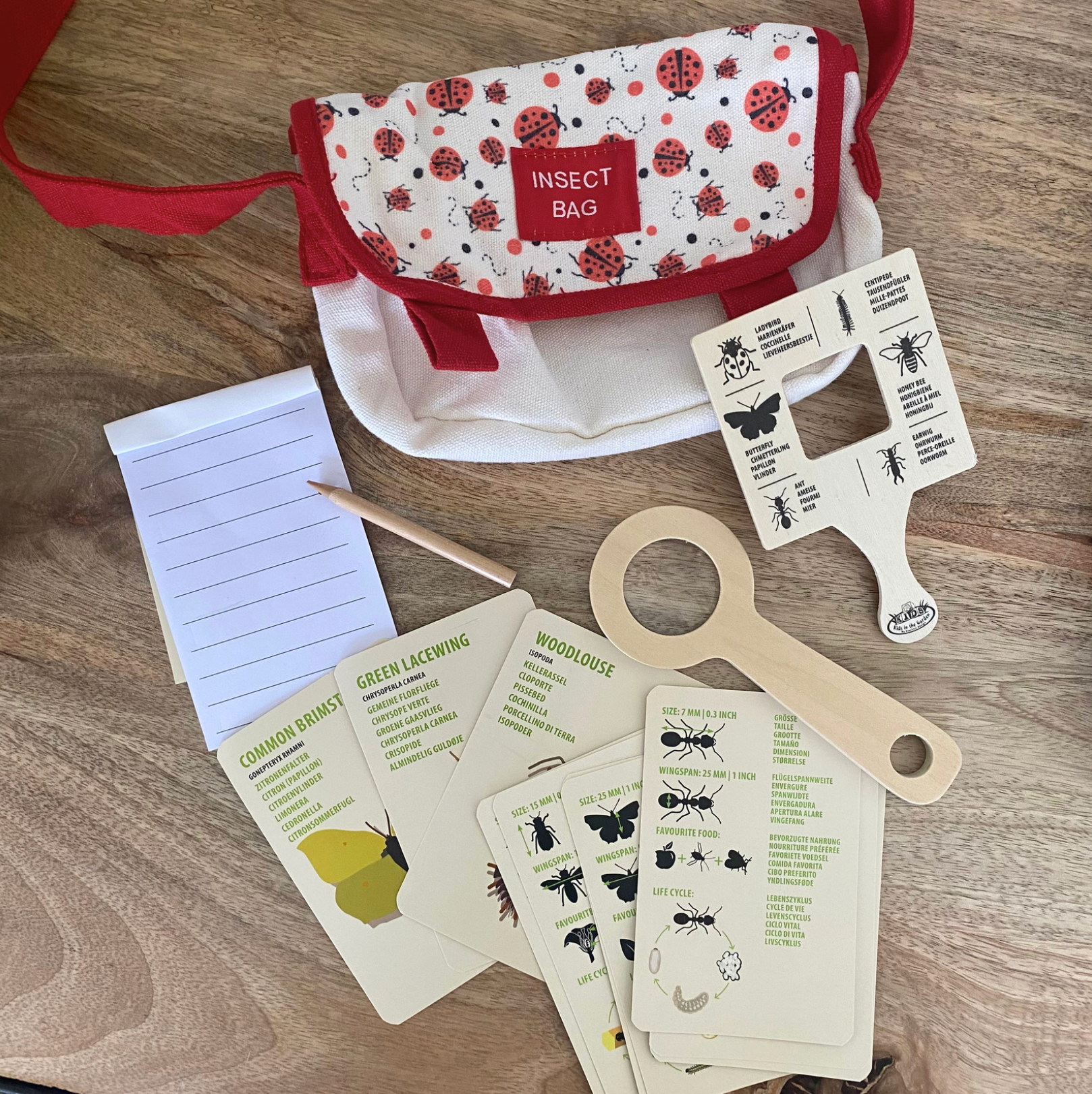 Sac explorateur insectes