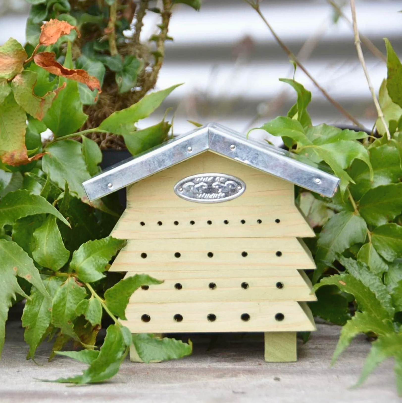 Abri abeilles en bois