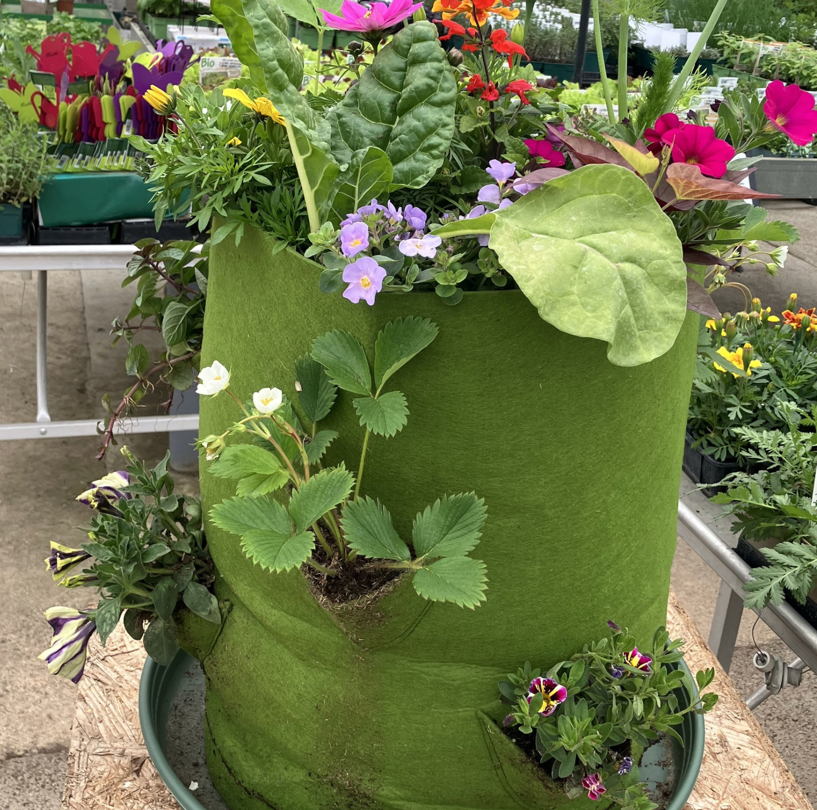 Sac de culture pour fraises/herbes