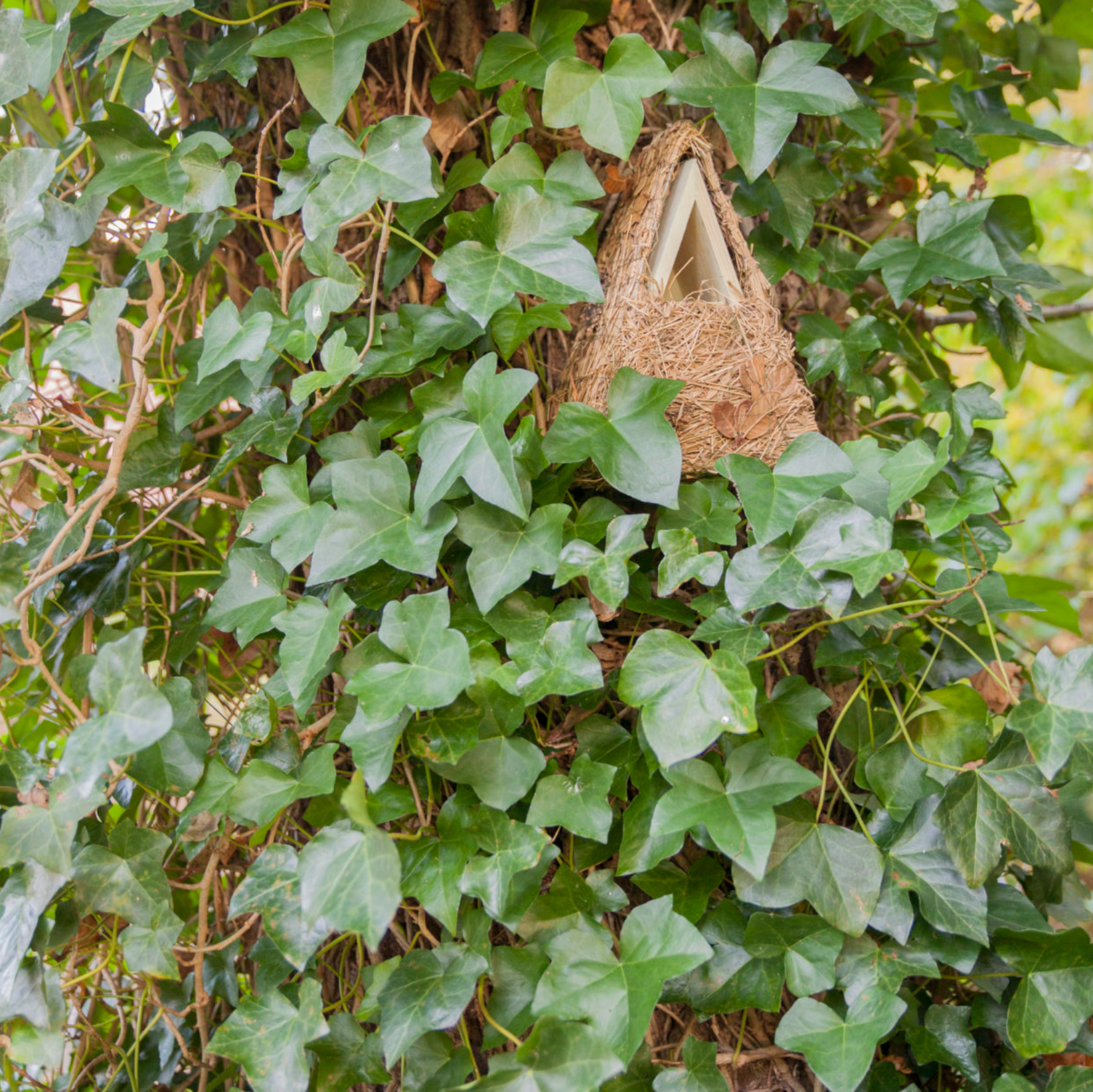 Nichoir camouflage
