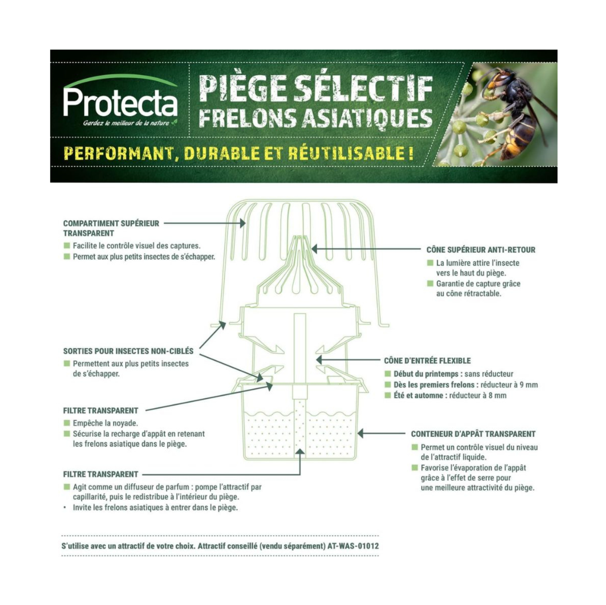 Piège sélectif pour frelons asiatiques – Réutilisable et sans insecticide