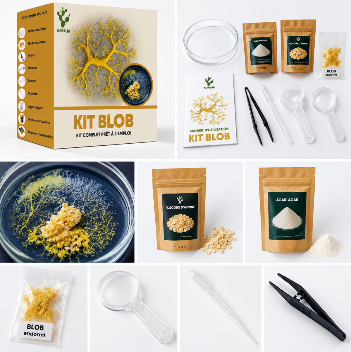 Kit Blob NOPALIA – Coffret d'élevage scientifique complet