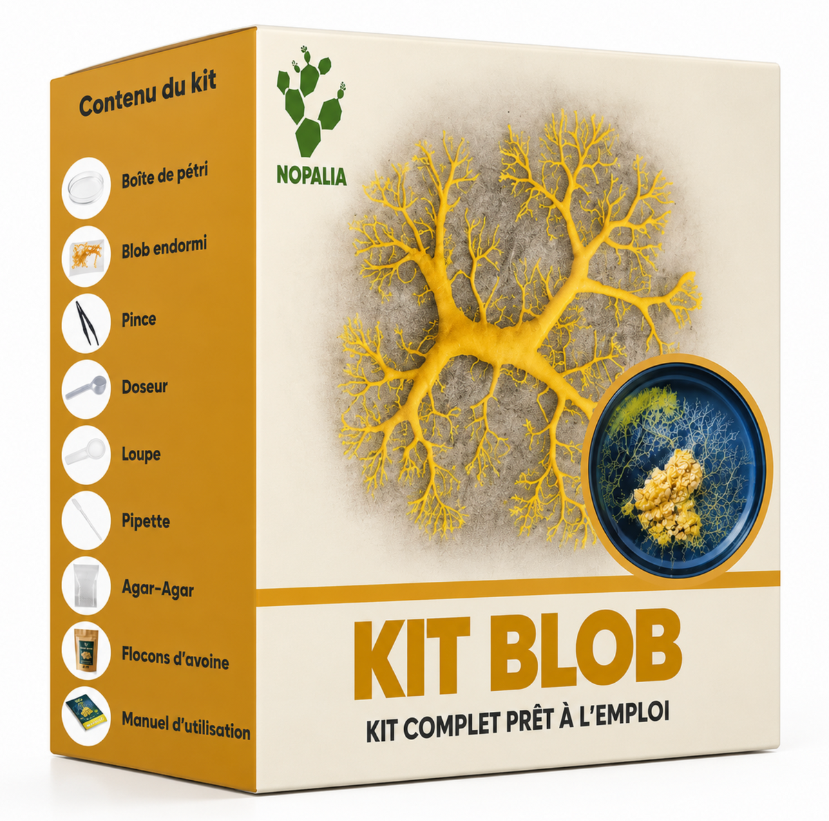 Kit Blob NOPALIA – Coffret d'élevage scientifique complet