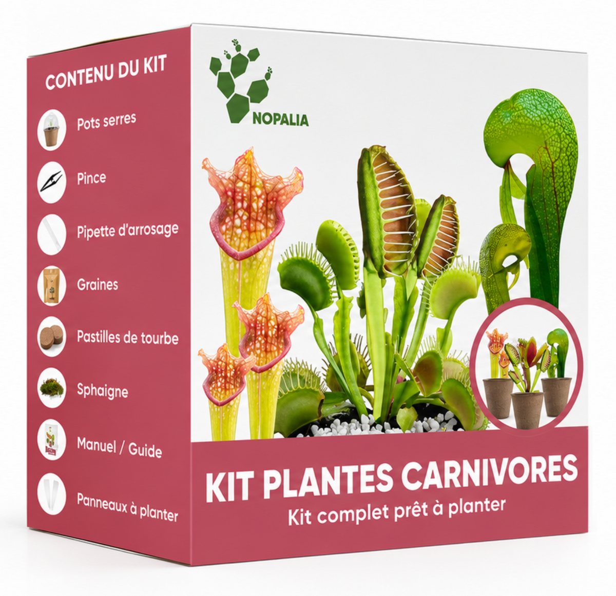 Kit 3 Plantes Carnivores NOPALIA – Coffret de Culture Complet