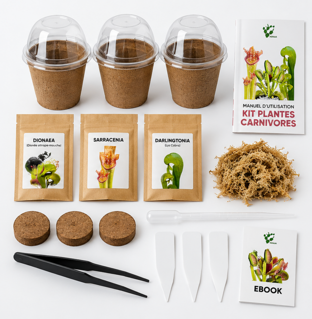 Kit 3 Plantes Carnivores NOPALIA – Coffret de Culture Complet