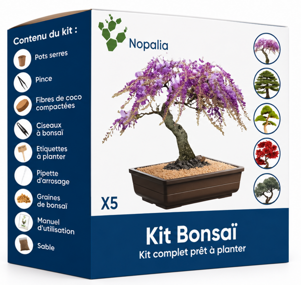 Kit Bonsaï à Planter NOPALIA – Coffret de Culture 5 Variétés