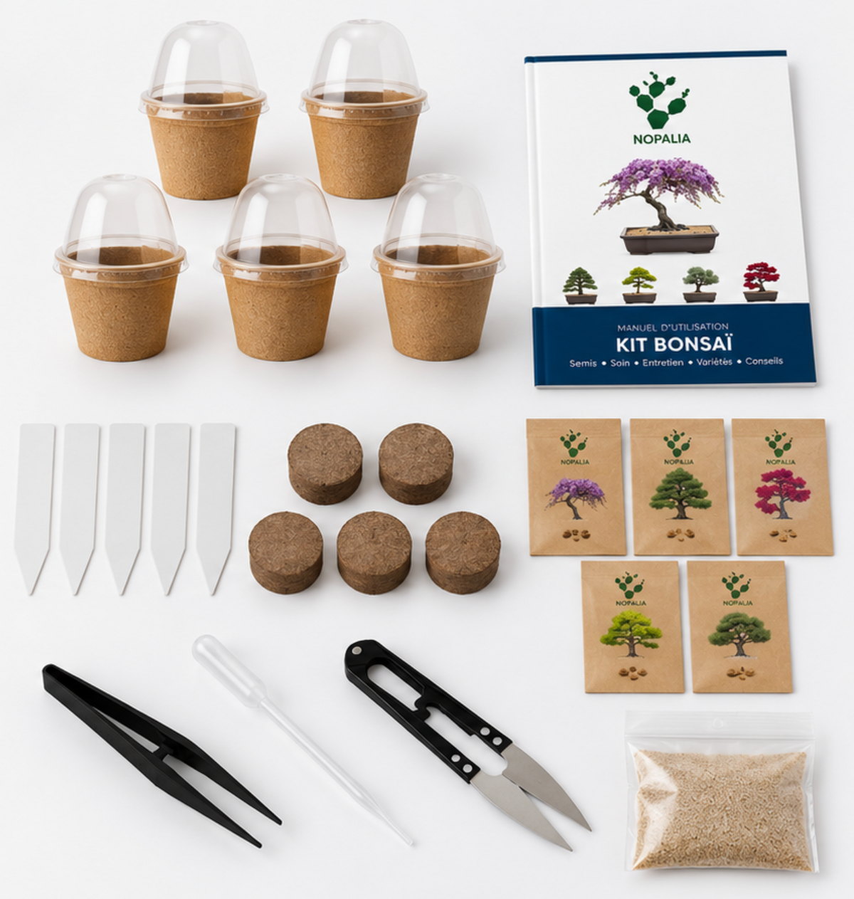 Kit Bonsaï à Planter NOPALIA – Coffret de Culture 5 Variétés