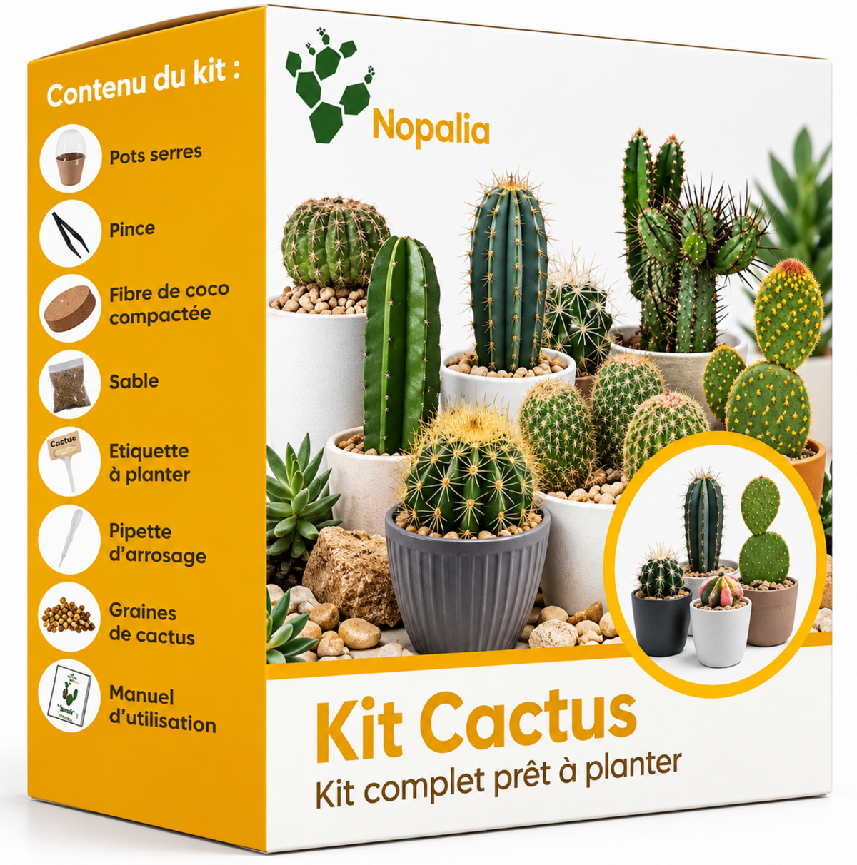 Kit Cactus Premium à Planter Nopalia – Coffret de Culture 4 Variétés