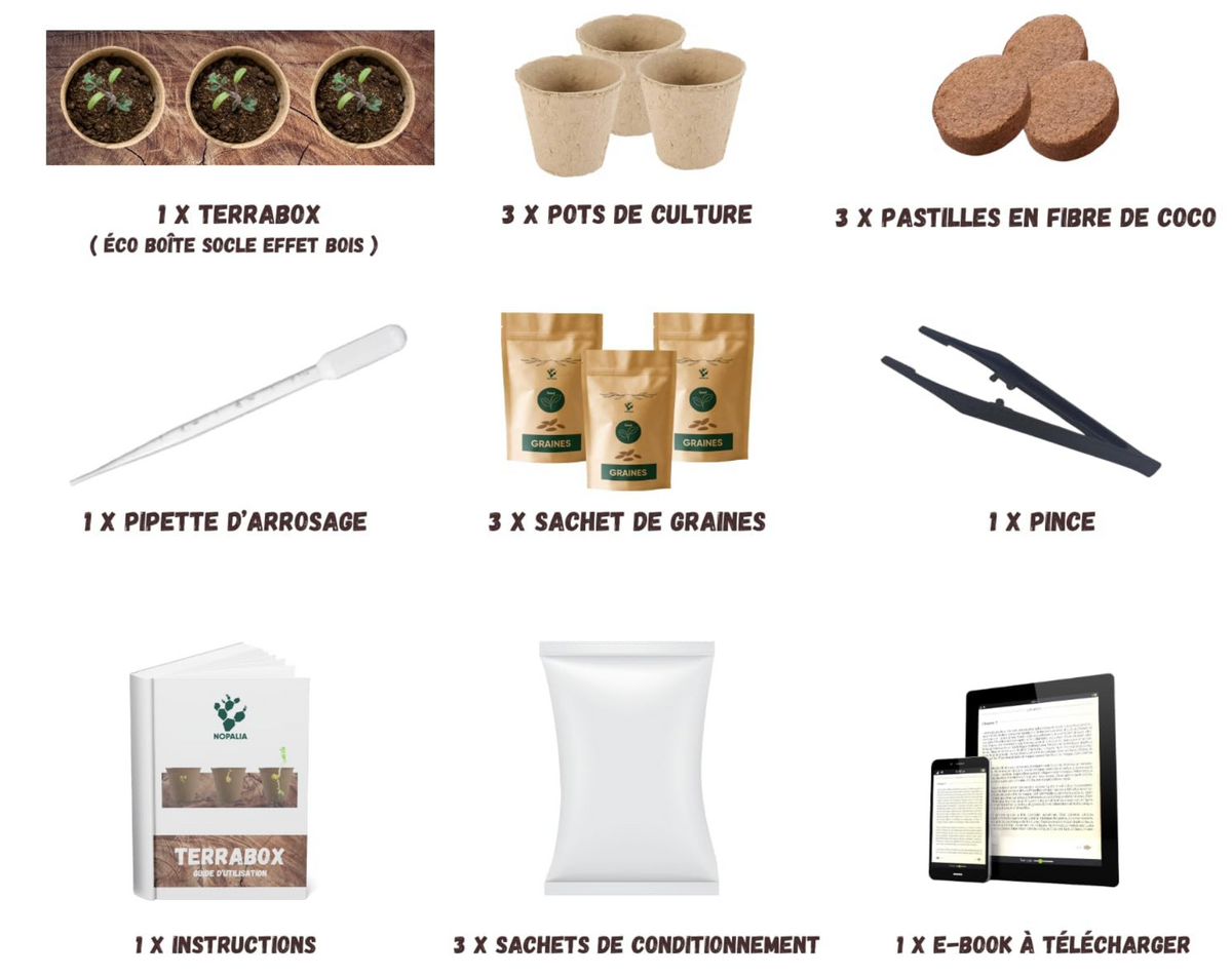 Kit de culture Terrabox 3 tomates cerises – NOPALIA