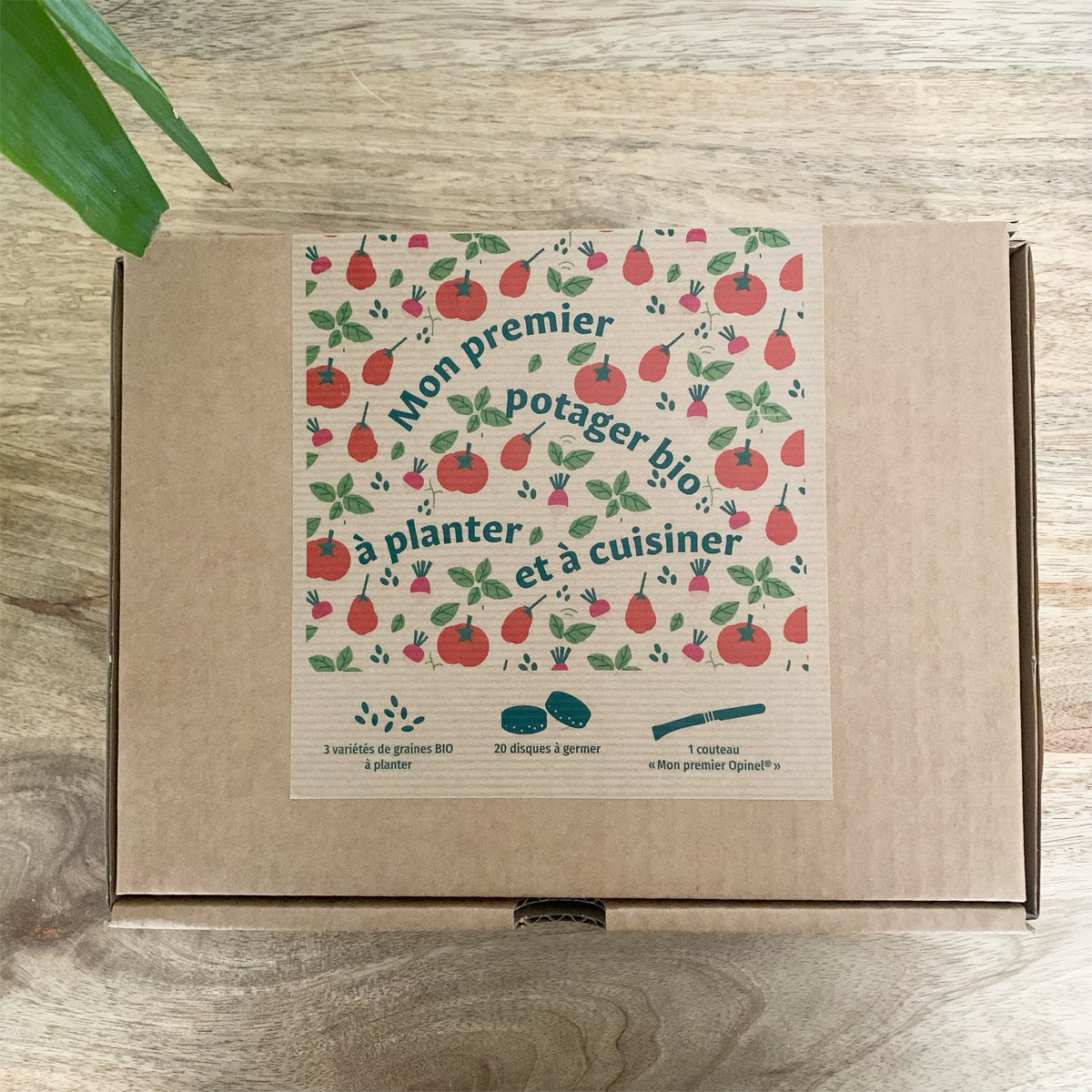 Coffret : Mon premier potager bio à planter et à cuisiner pour enfants