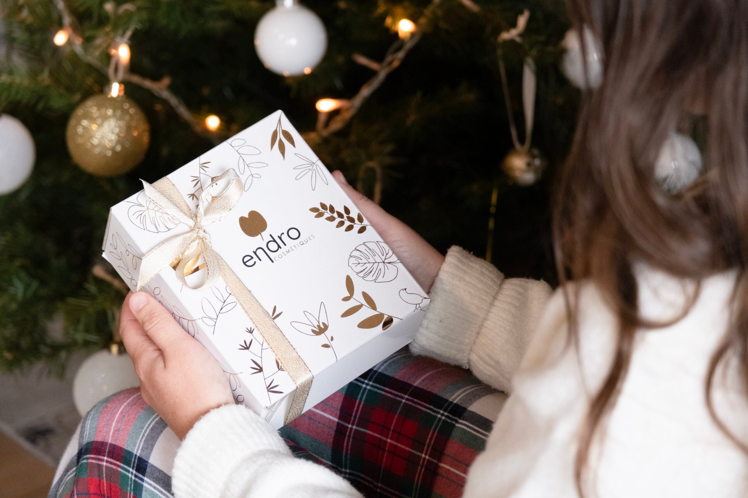 Grand coffret cadeau de Noël ENDRO
