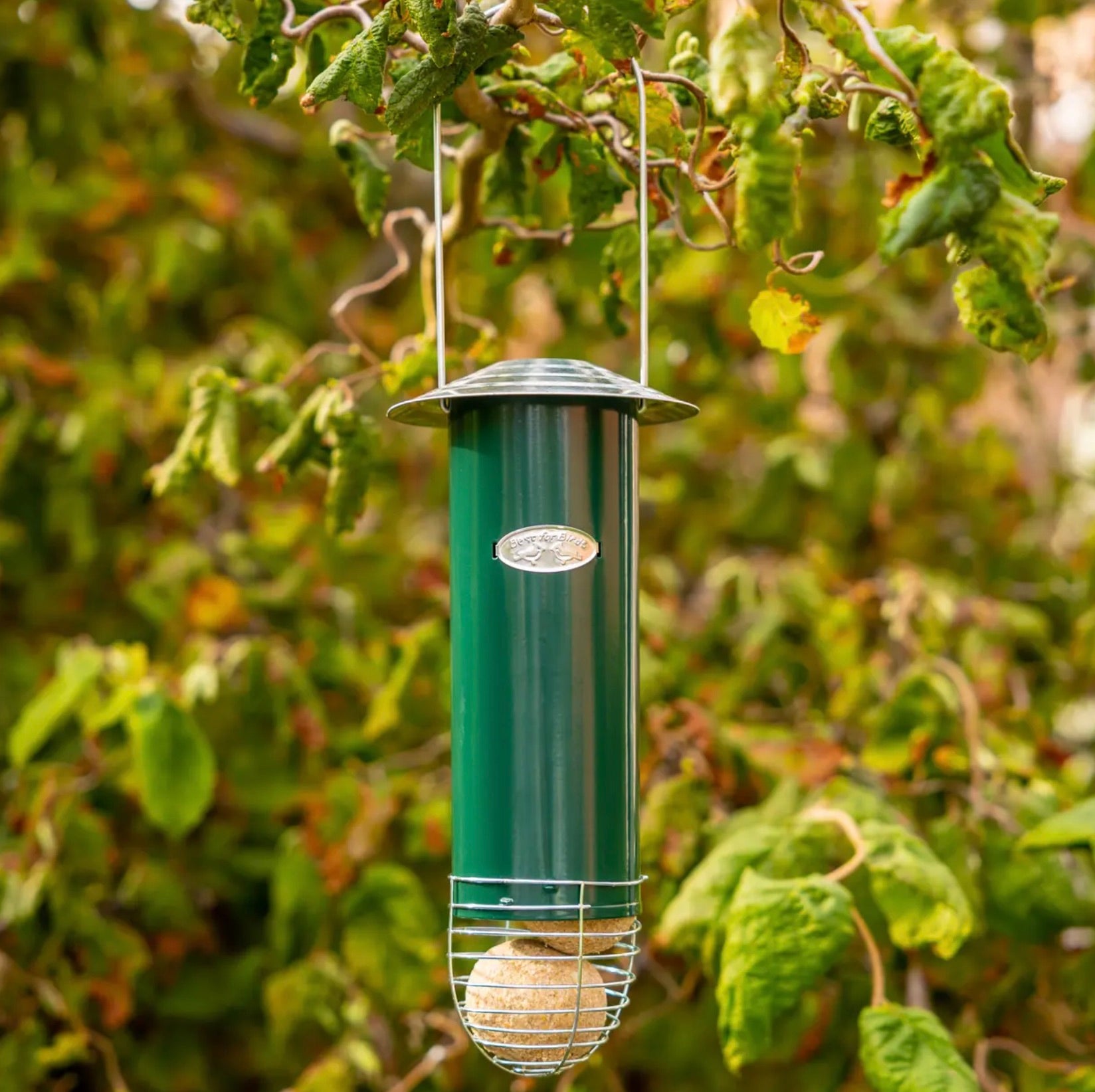 Distributeur de boules de graisse – Mangeoire oiseaux extérieure
