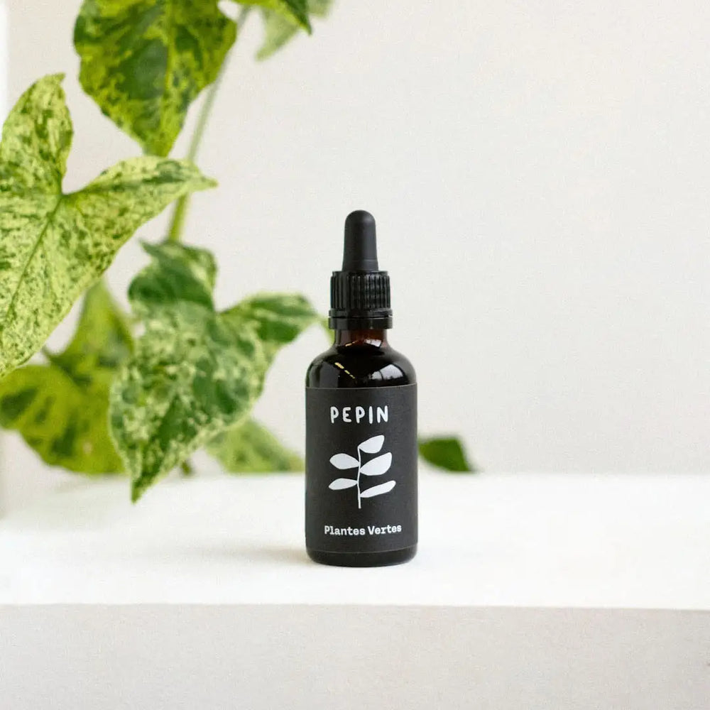 Engrais liquide pour plantes vertes d’intérieur - Pepin