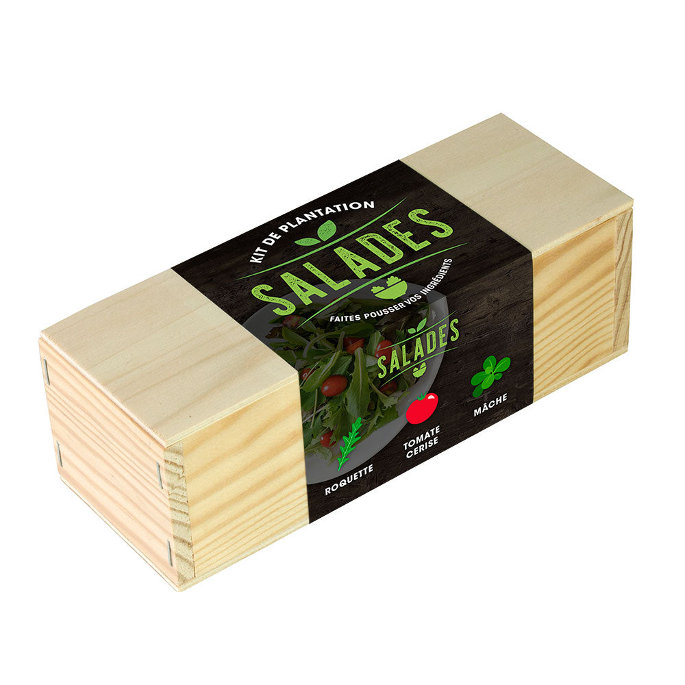 Kit d'Auto-Culture Salades – Roquette, Tomate Cerise et Mâche