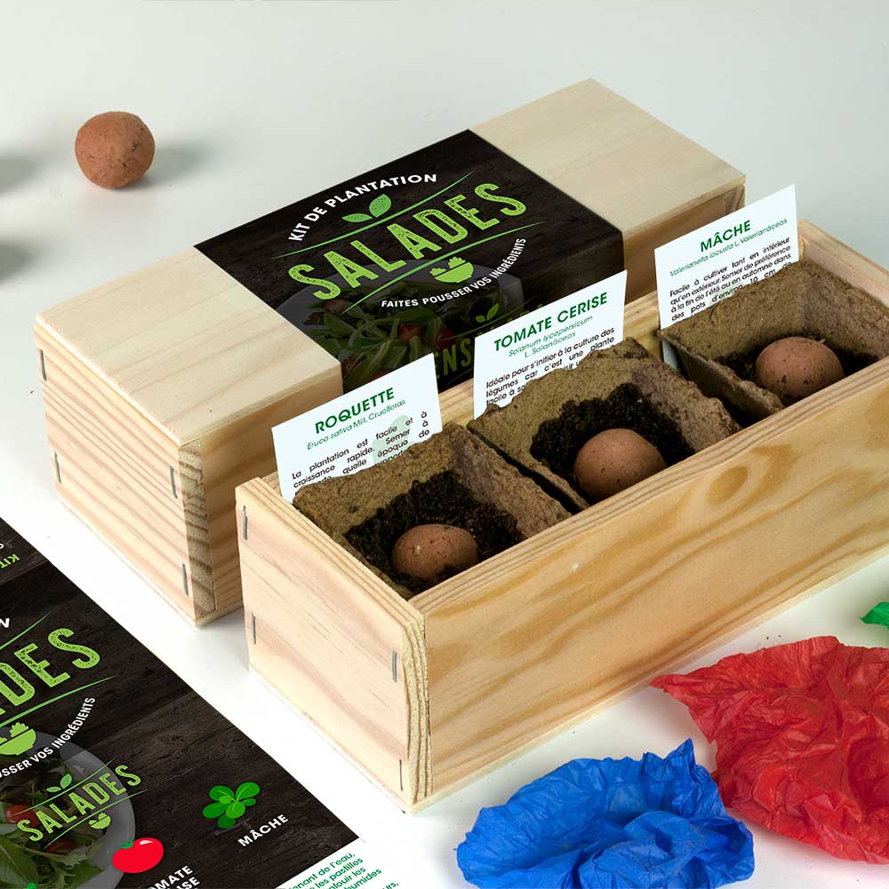 Kit d'Auto-Culture Salades – Roquette, Tomate Cerise et Mâche