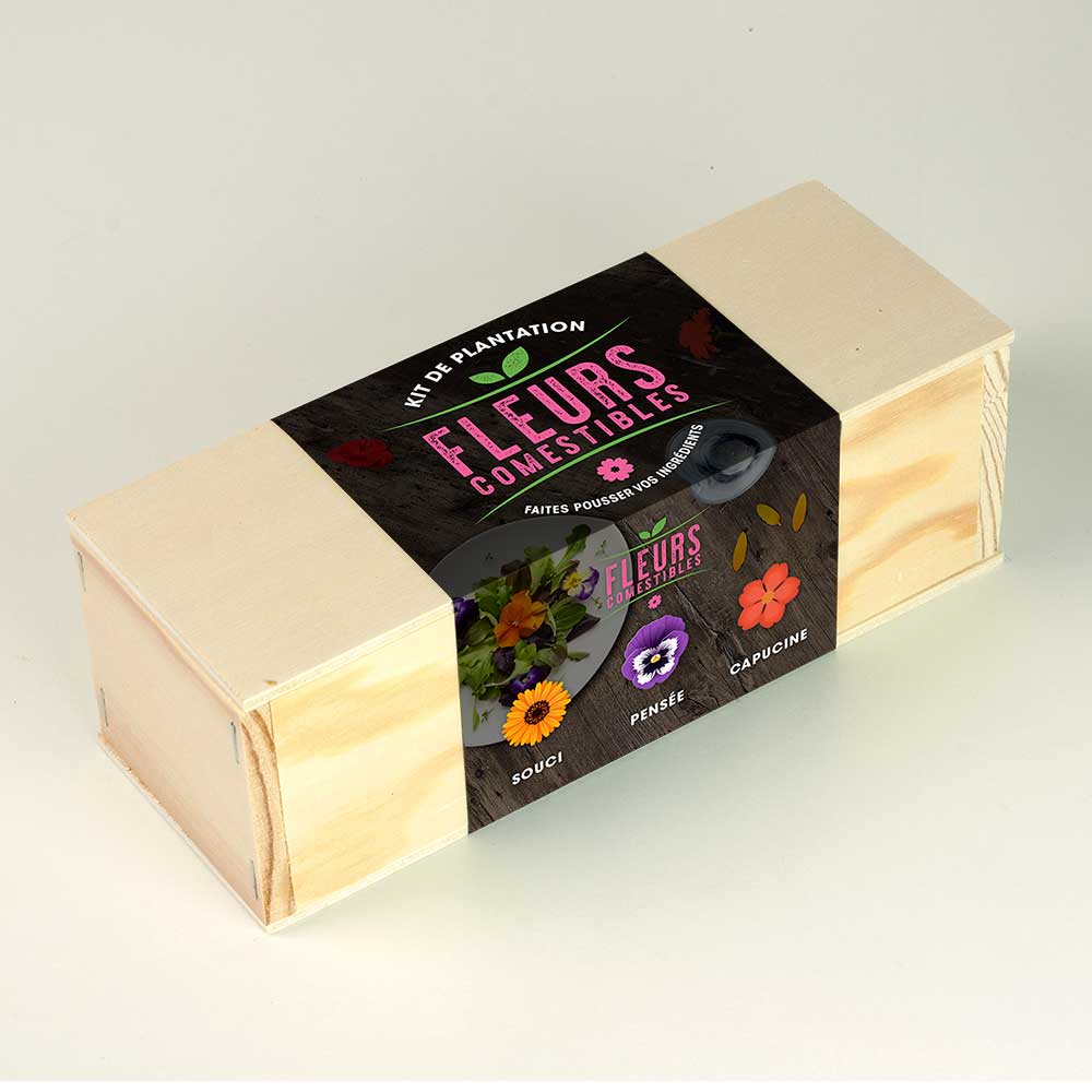 Kit de culture de fleurs comestibles – Souci, Pensée et Capucine