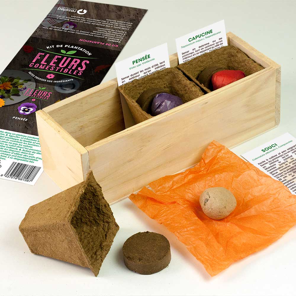 Kit de culture de fleurs comestibles – Souci, Pensée et Capucine