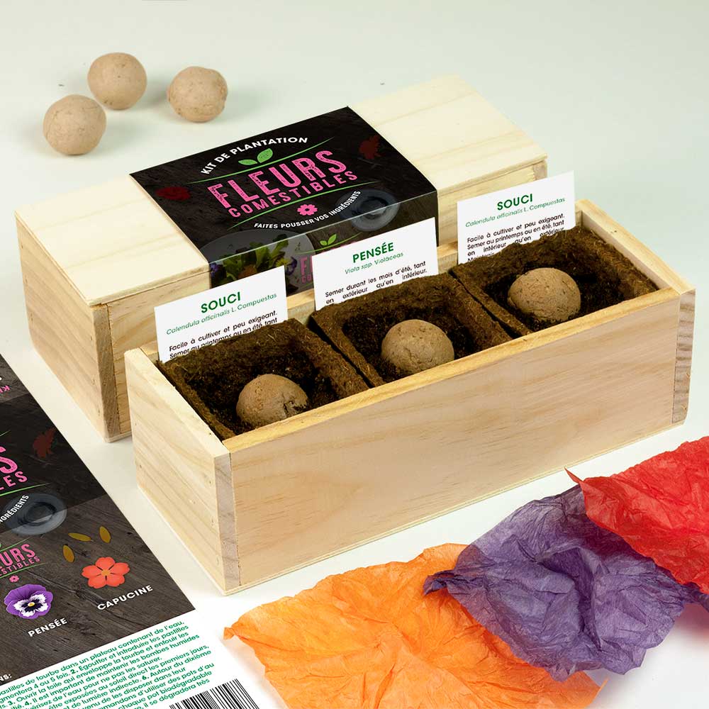 Kit de culture de fleurs comestibles – Souci, Pensée et Capucine