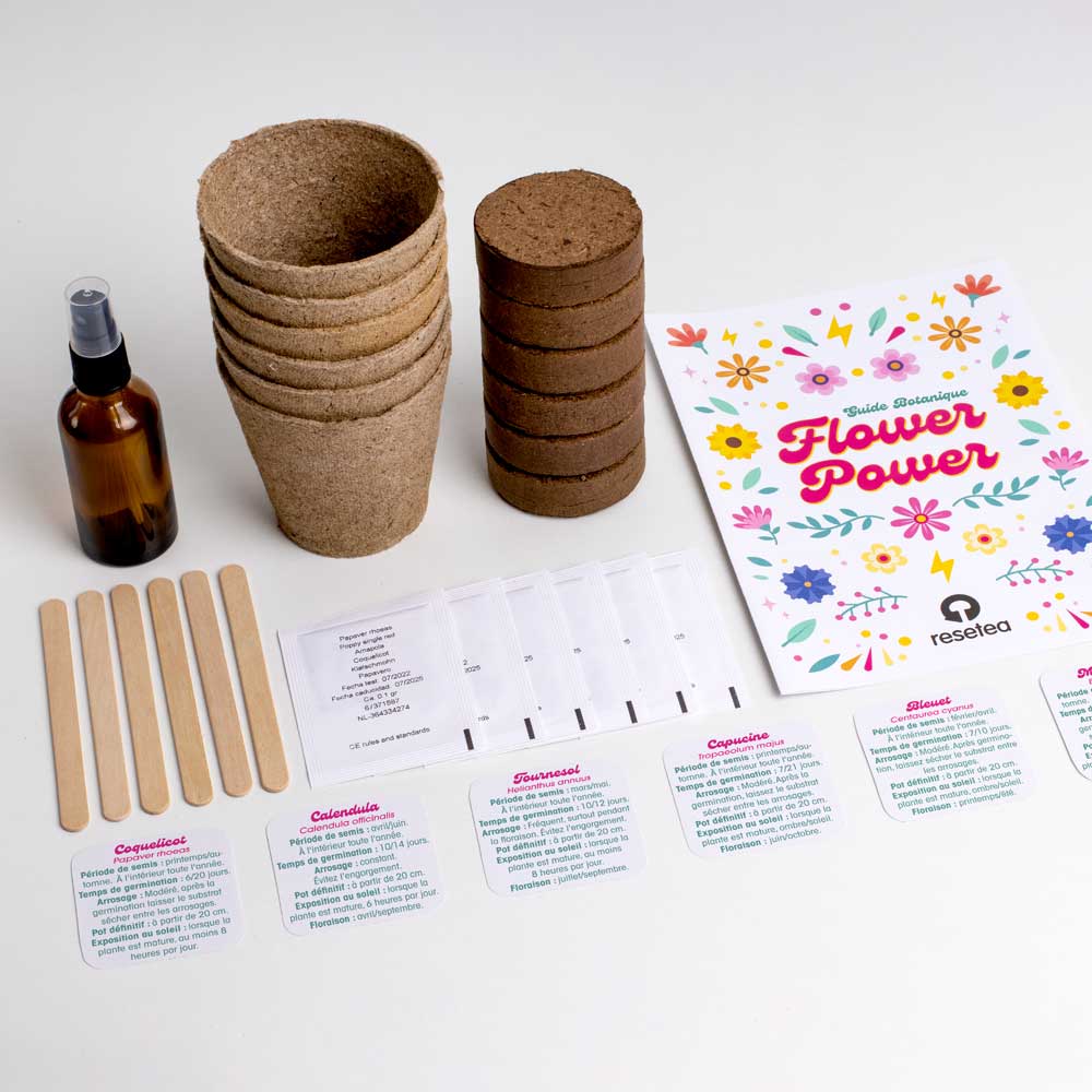 Kit de culture de 6 fleurs Flower Power